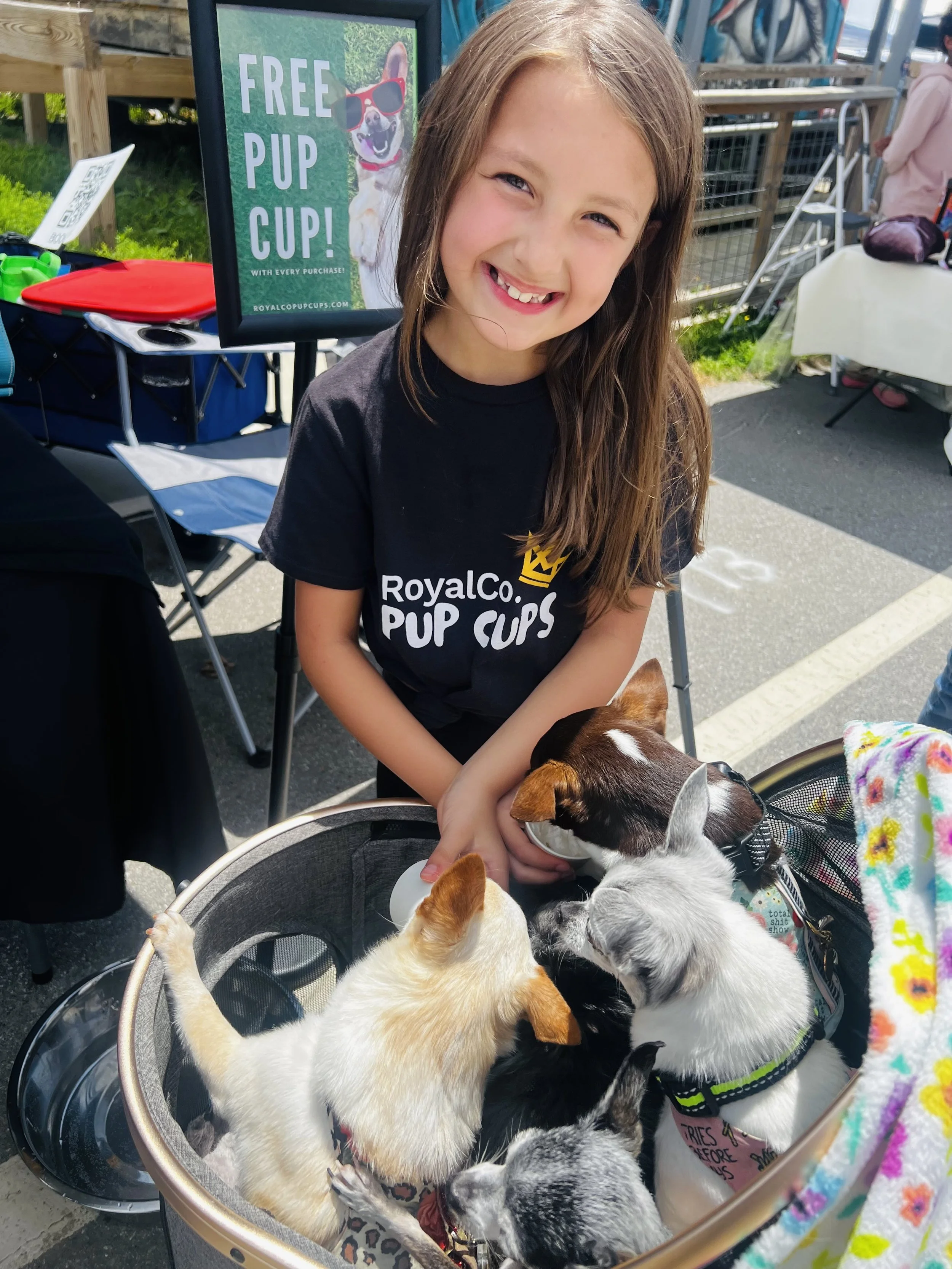 local dogs