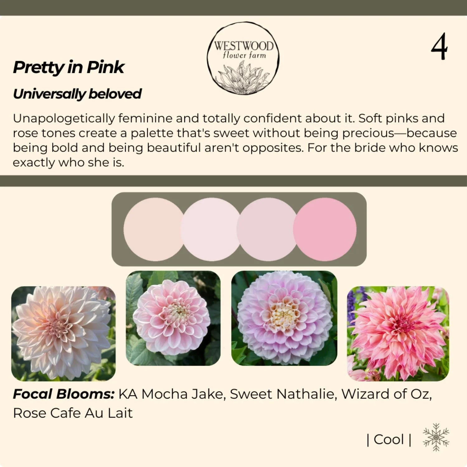 Pretty in Pink-resized-to-large.jpeg