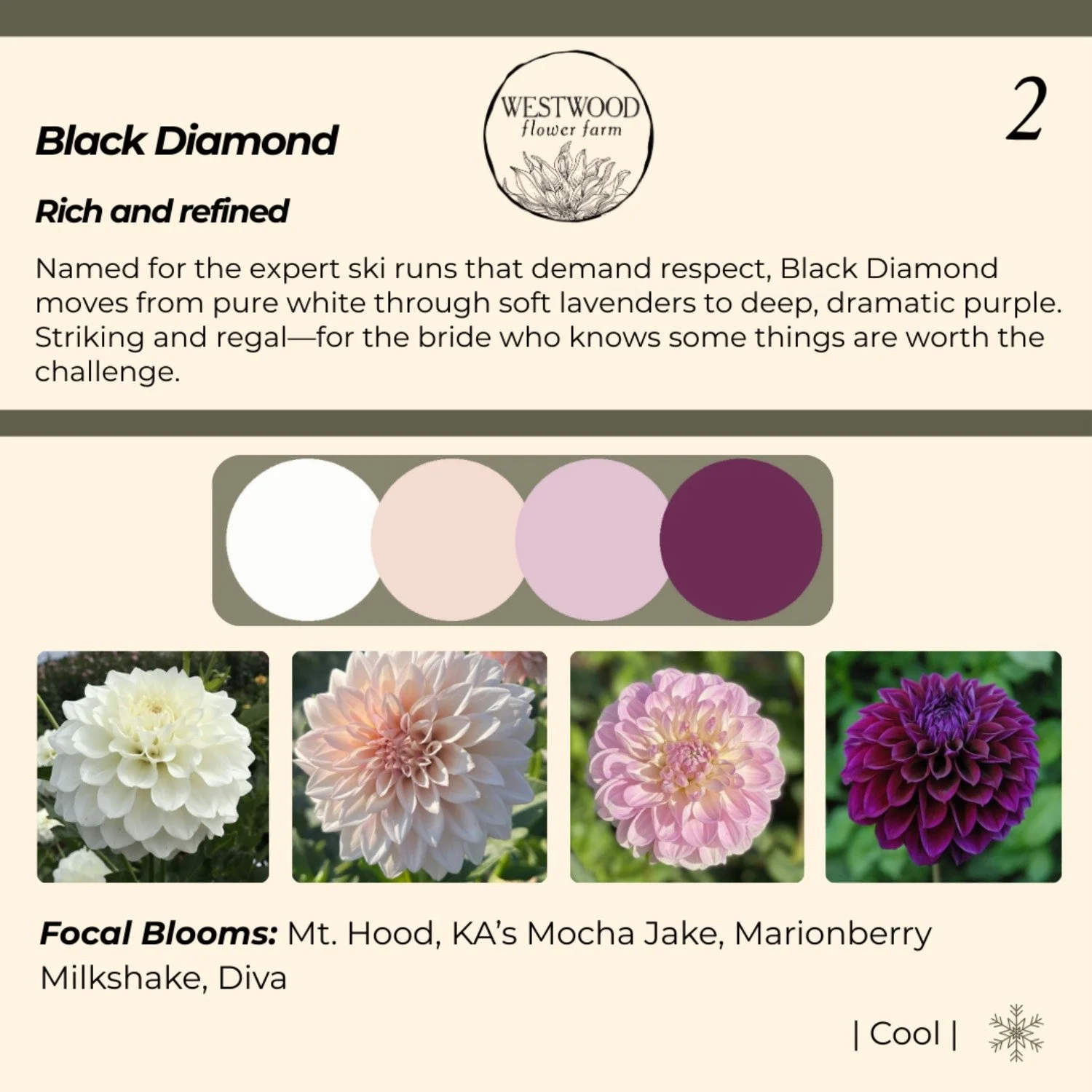 Black Diamond-resized-to-large.jpeg