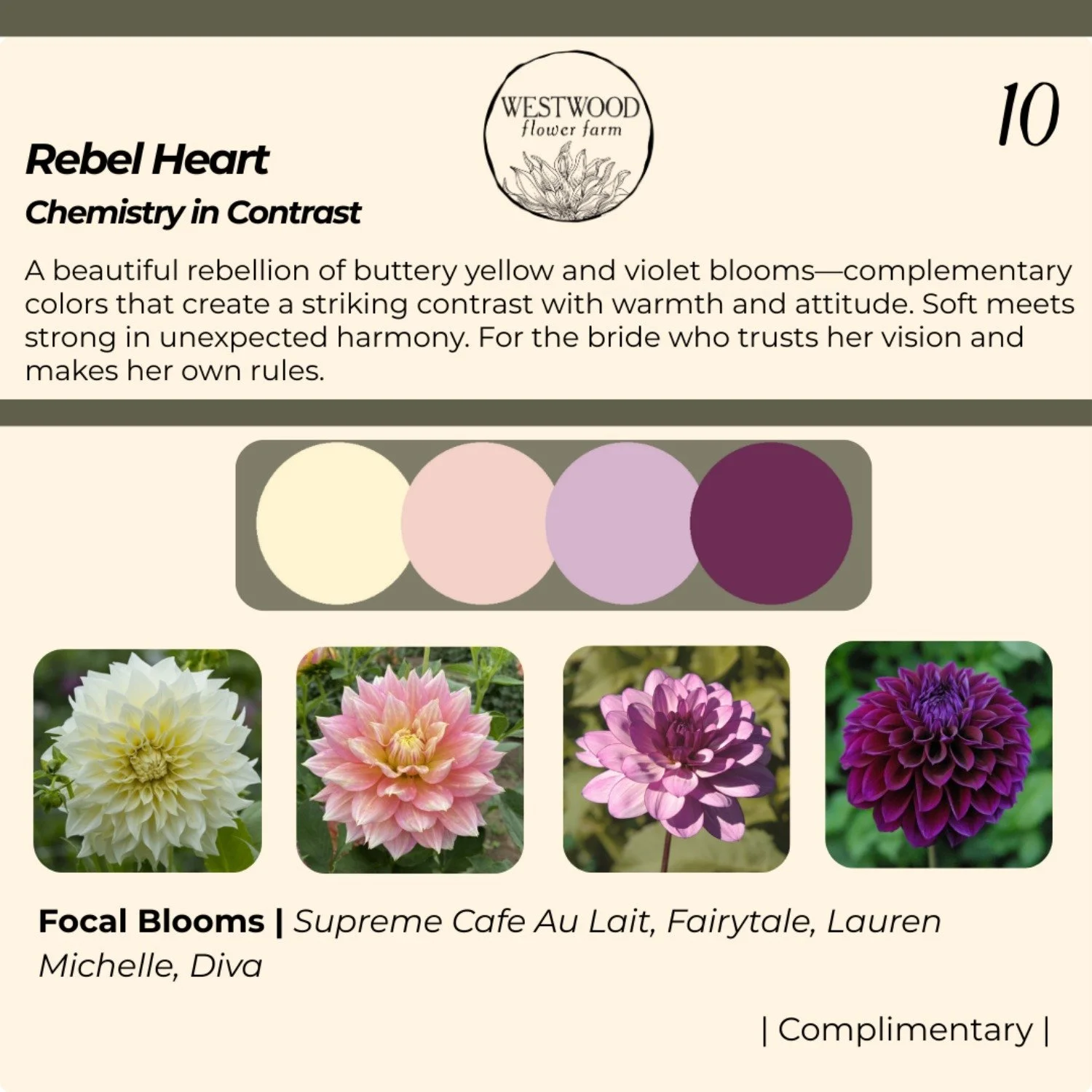 Rebel Heart-resized-to-large.jpeg