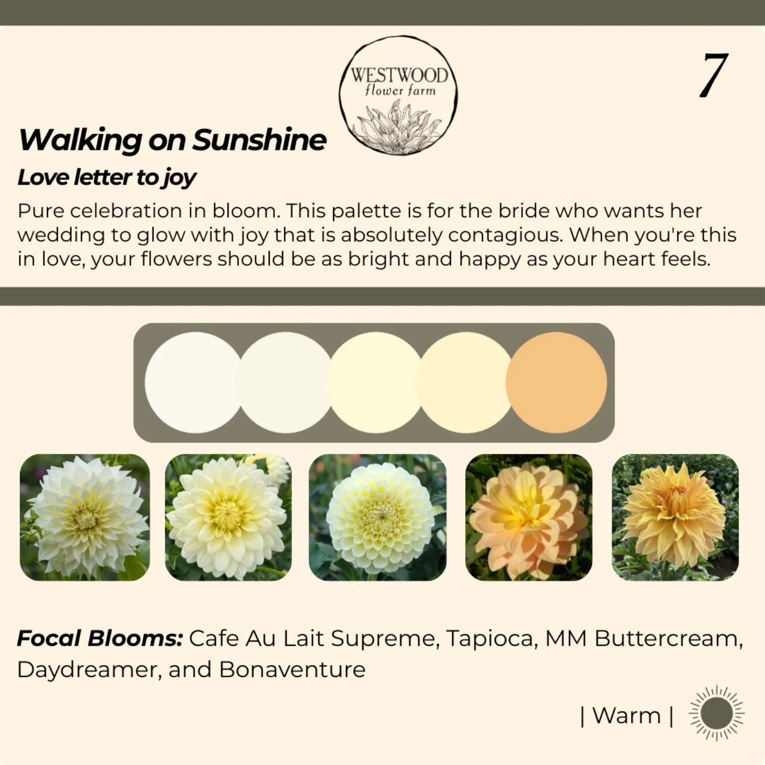 Walking on Sunshine-resized-to-large.jpeg