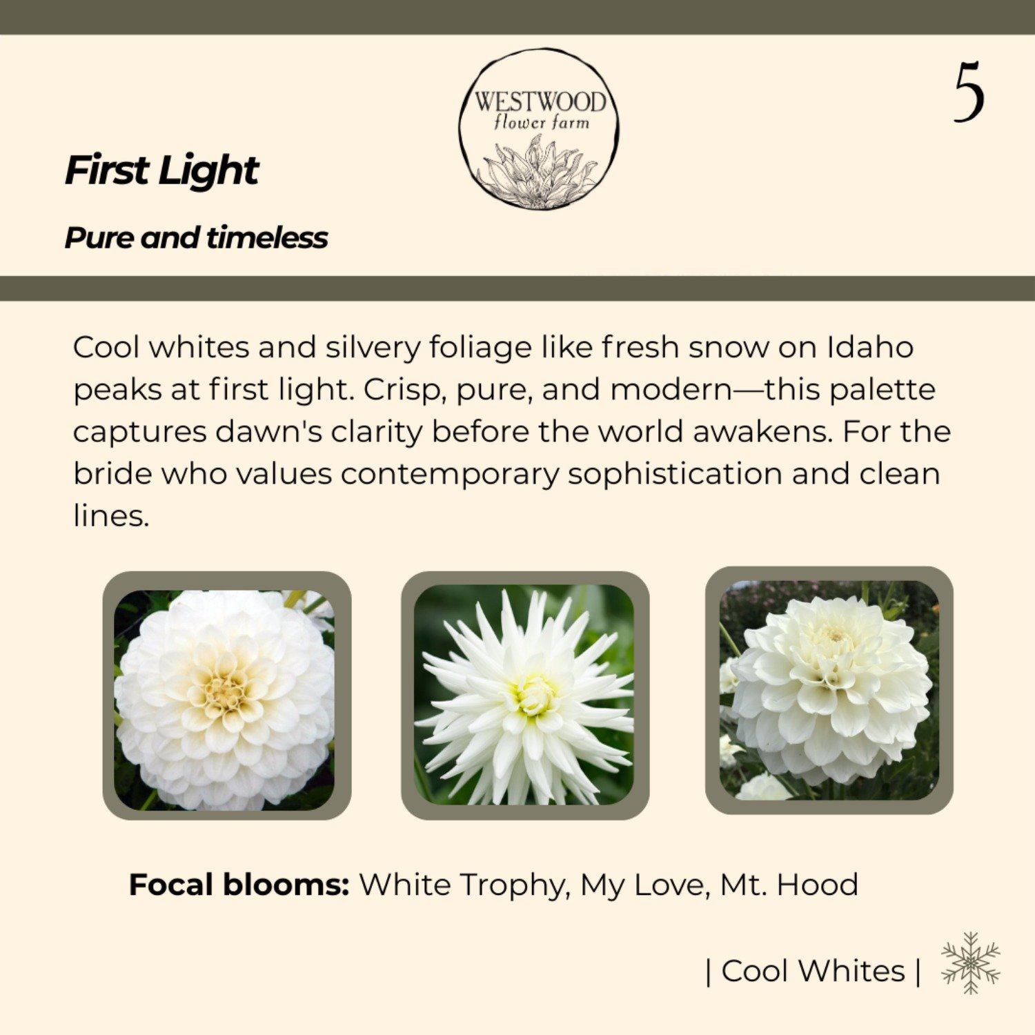 First light-resized-to-large.jpeg