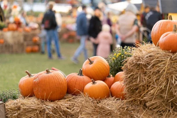 PUMPKIN PATCH SUCCESS: ESSENTIAL AMENITIES FOR HAPPY GUESTS
