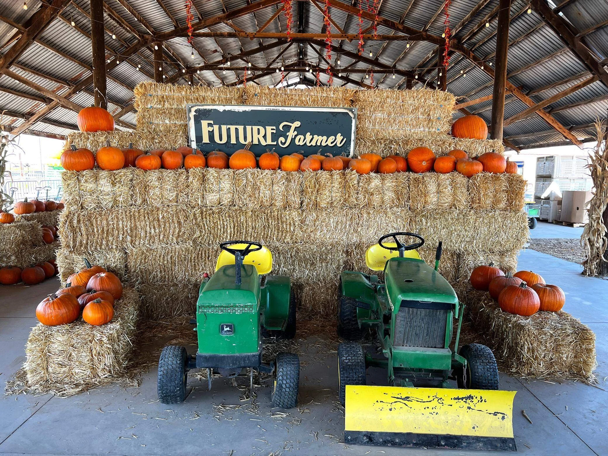 FALL IN CENTRAL CA &amp; HOW TO PLAN FOR GUESTS