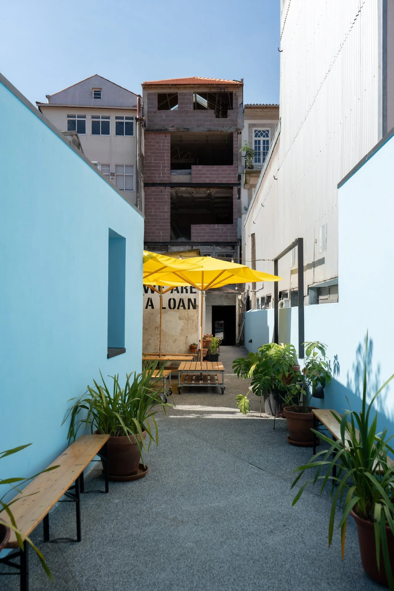 instituto 1.jpg