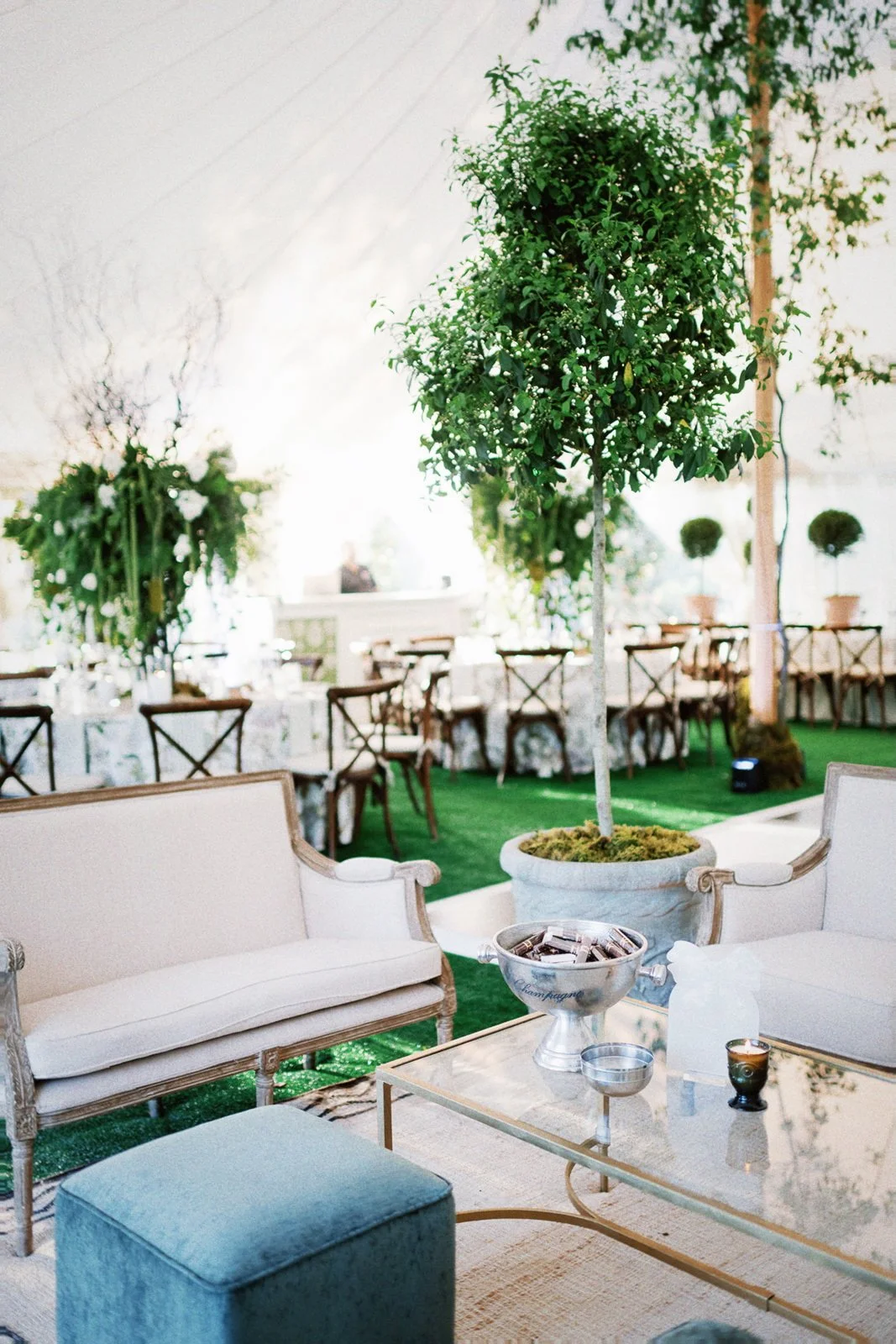 Indoor event space with elegant furniture, a potted tree, and tables arranged for a celebration.