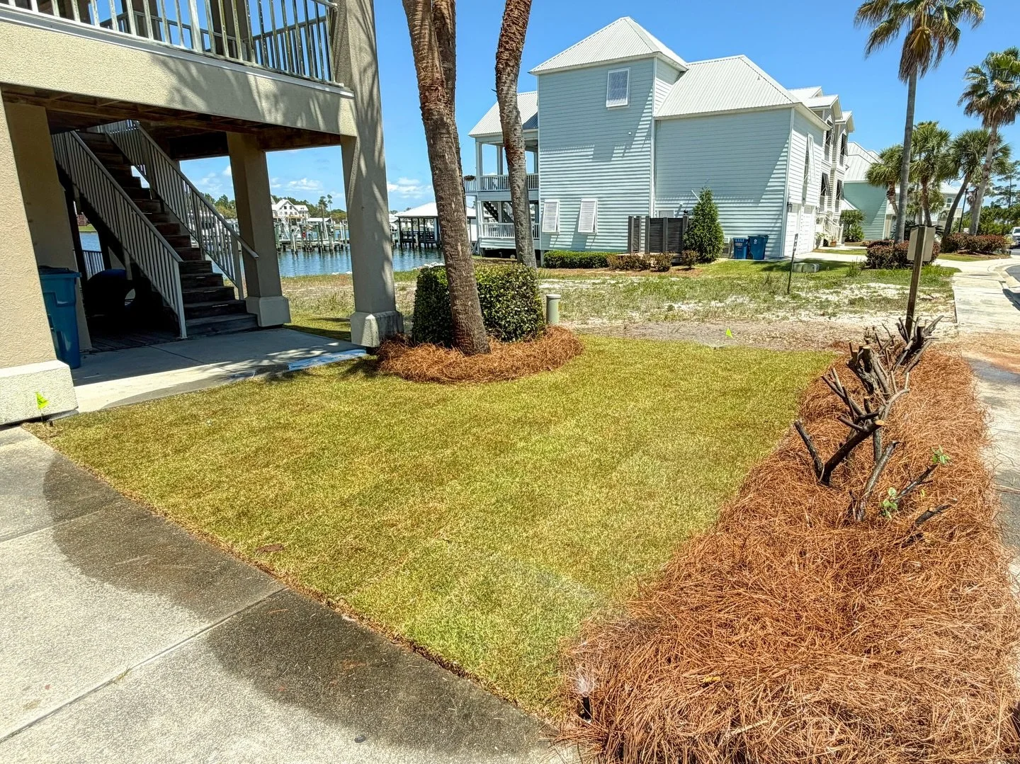 A fresh start for summer with new irrigation, fresh sod, topsoil &amp; grading, shrub pruning, and a clean pine straw finish✨

Swipe to see the transformation ➡️