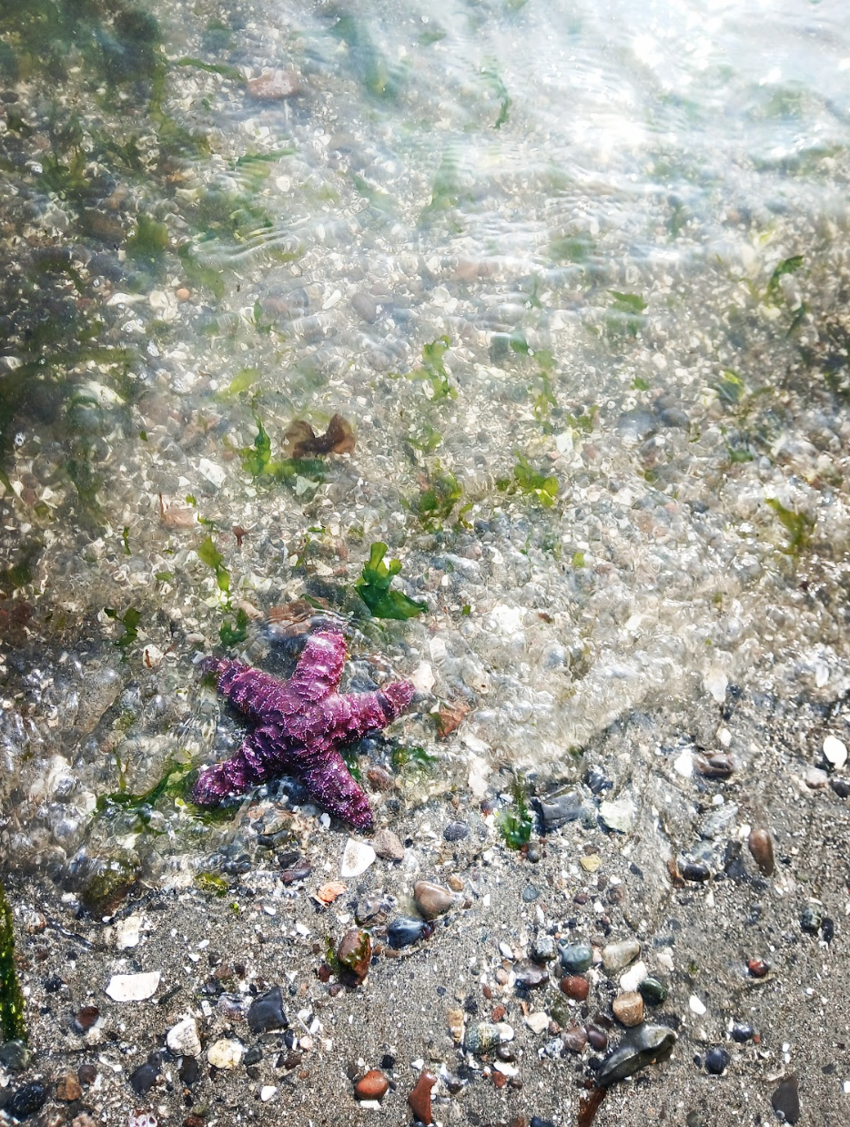 Screen Shot 2025-09-07 at 7.33.13 PM.png