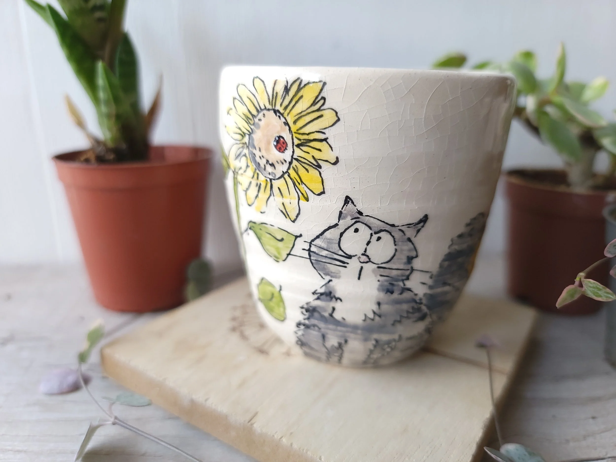 Crazy cats pot.