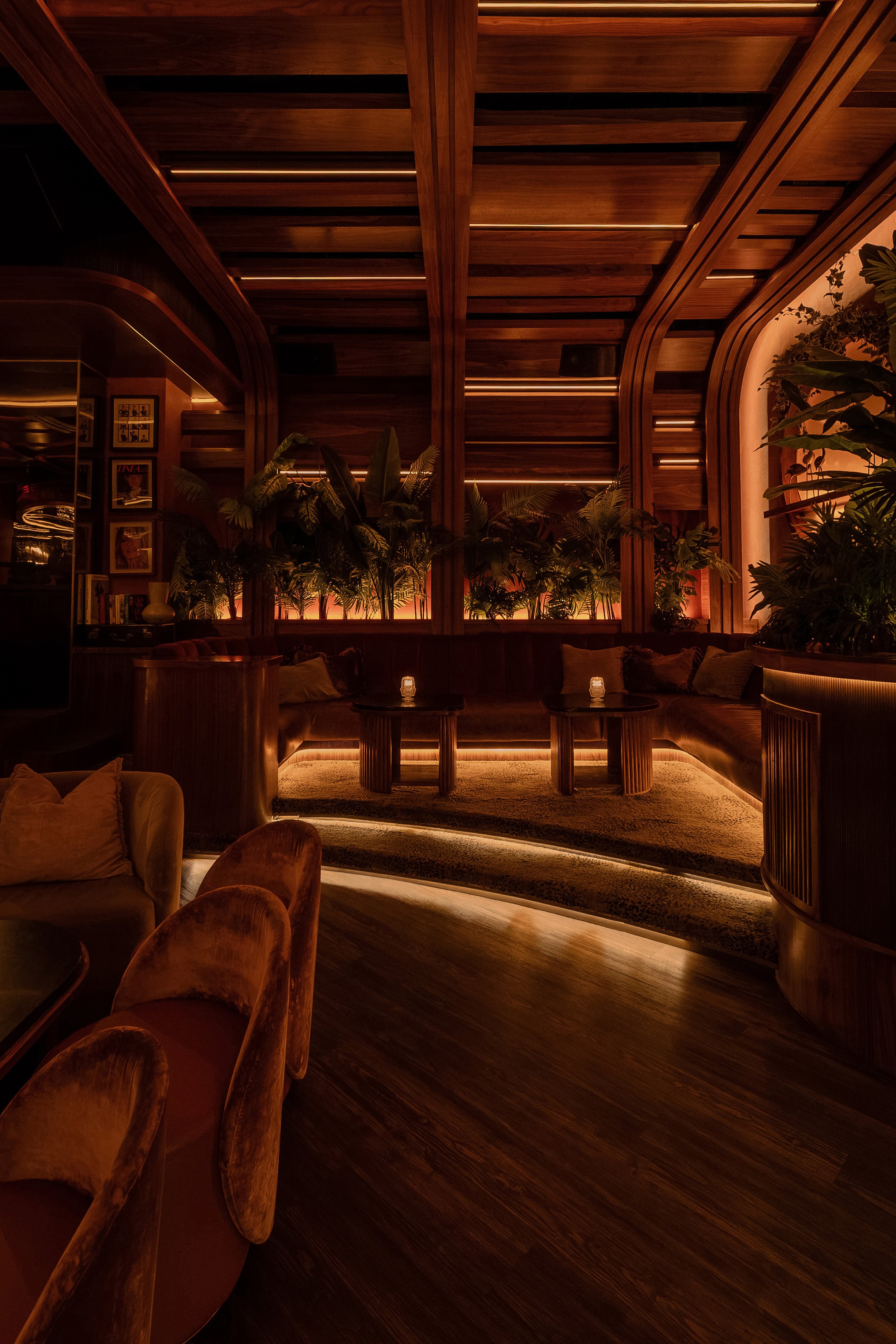 Curved illuminated steps descending into Powder Room’s cocktail lounge, framed by dark wood and tropical greenery.
