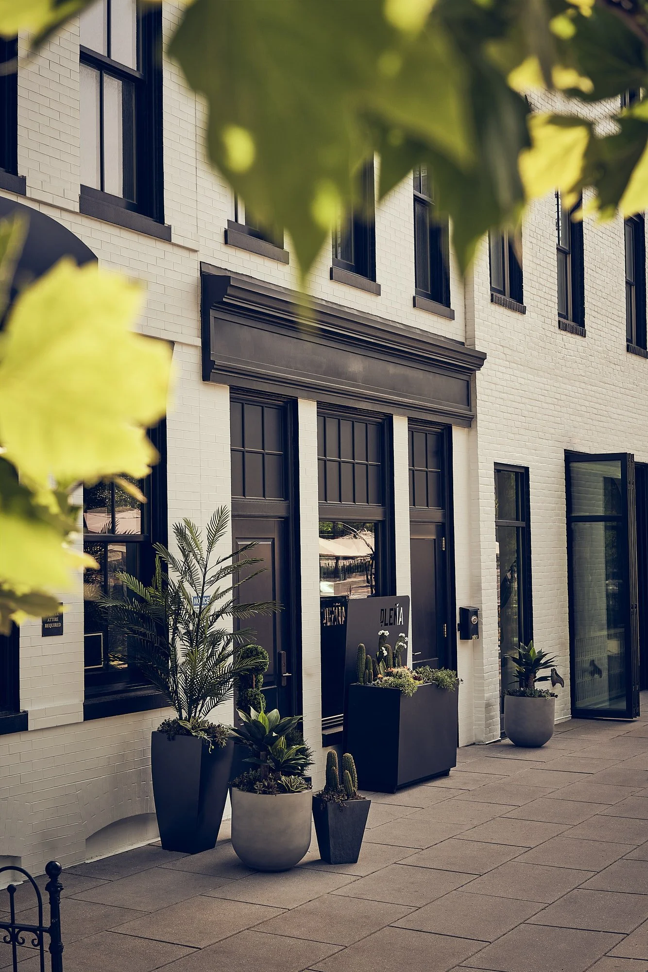 Copyright_ZephColombatto__DSC0026 1.jpg