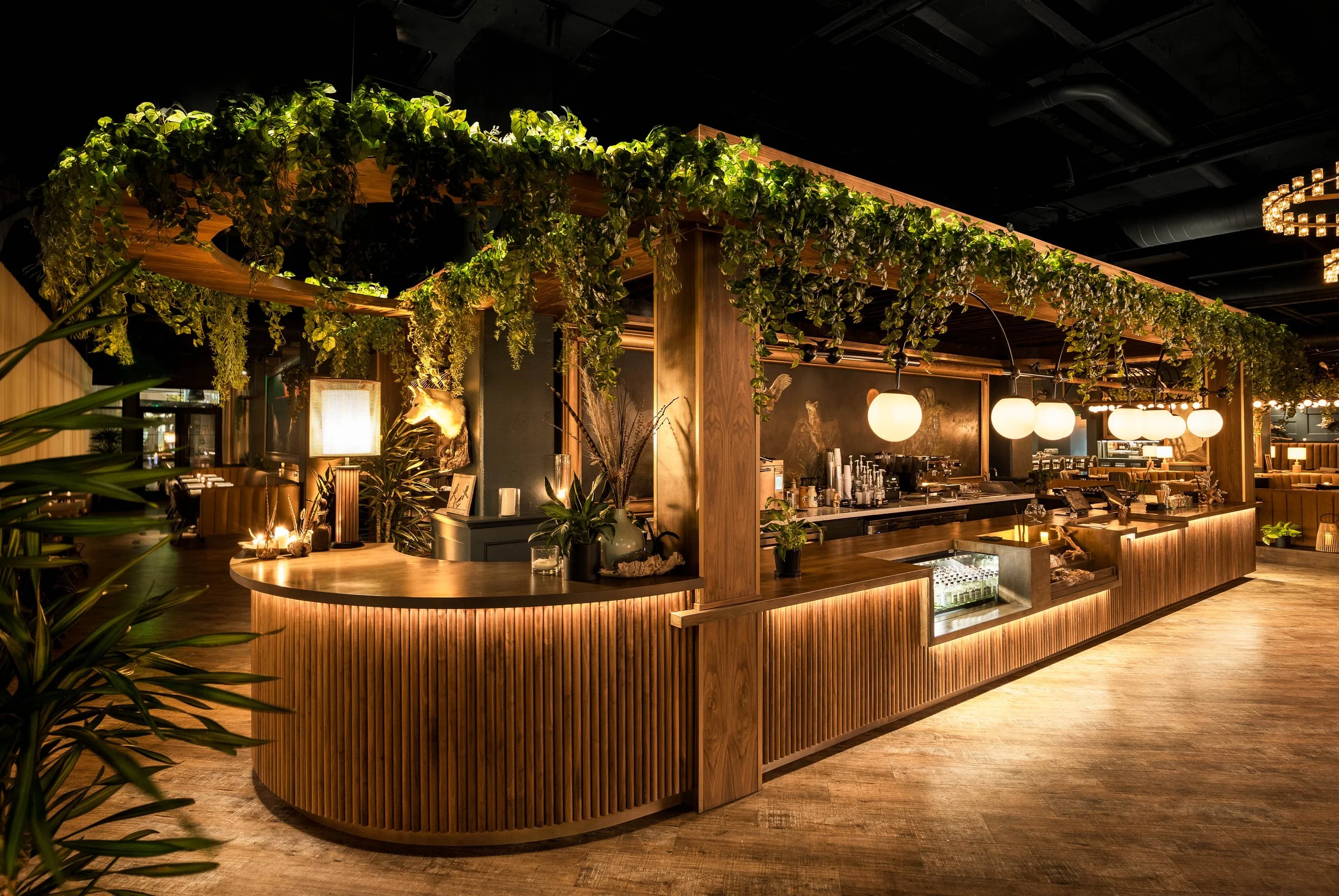 Wren & Wolf interior in Downtown Phoenix with a warm wood bar, greenery, pendant lighting, and an atmospheric restaurant setting.