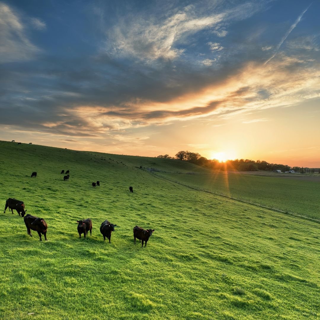 Preparing Your Farm Business for El Niño