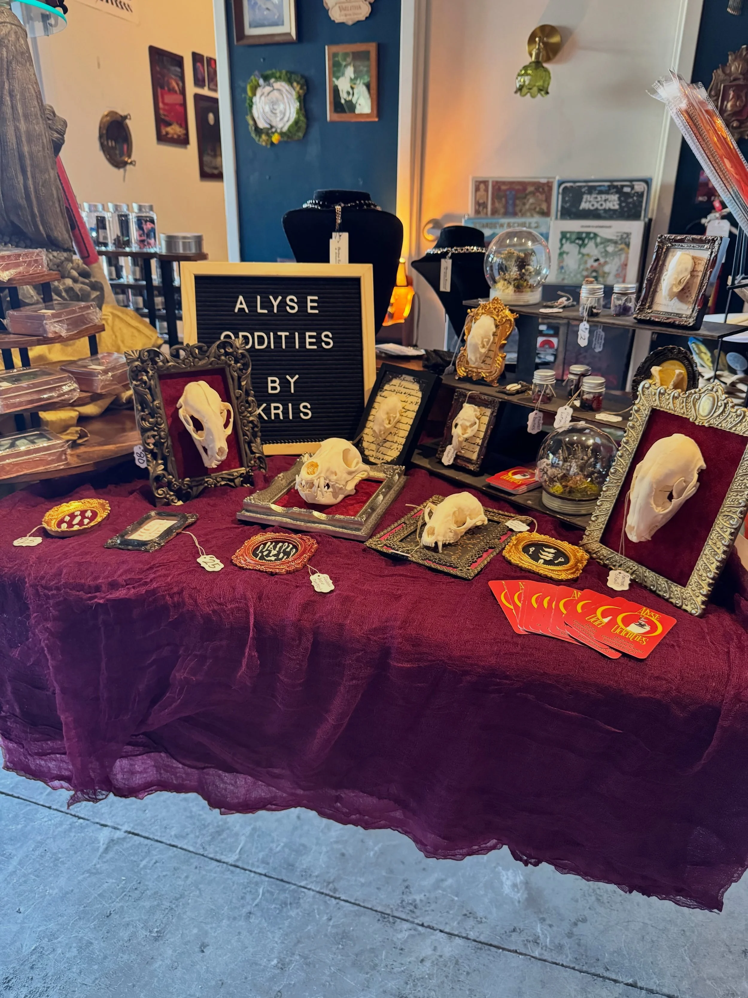 ✨One of our artists of the month!✨

@alyse.oddities works with various bugs and real animal bones to create whimsical and macabre, but beautiful environments. She aims to bring out the simple beauty and elegance of the already passed, sometimes forgo