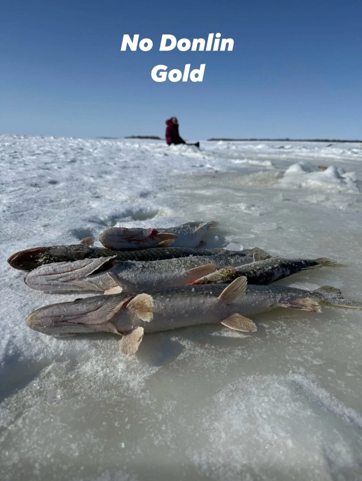 I keep hearing the proposed Donlin Gold Project compared to Red Dog Mine as proof large-scale mining is &ldquo;safe&rdquo; in Alaska.

So I read the reports.

Here&rsquo;s what they actually show:

Red Dog Mine has documented
&bull; ~198 effluent dis