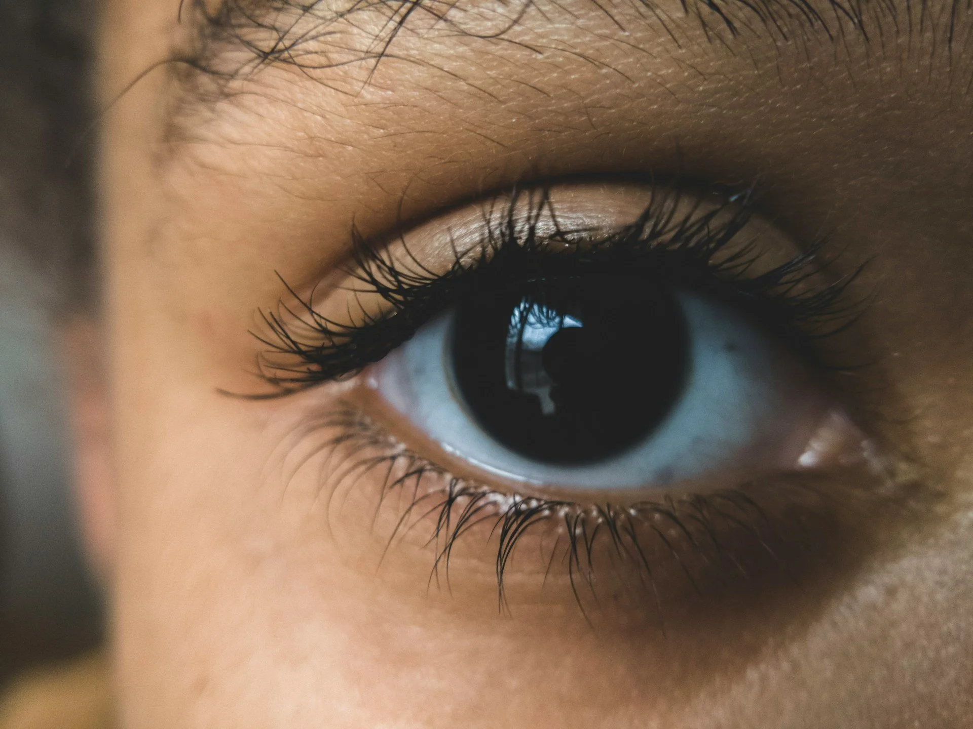 What Actually Happens in EMDR Therapy: A Session-by-Session Honest Look