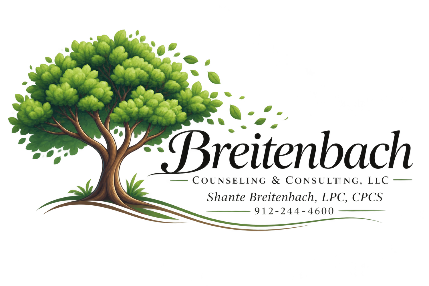 Breitenbach Counseling &amp; Consulting, LLC 