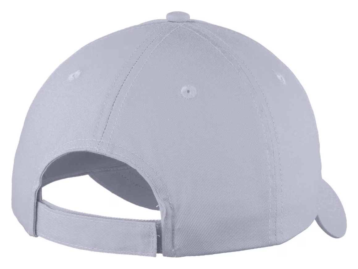 gray hat back.png