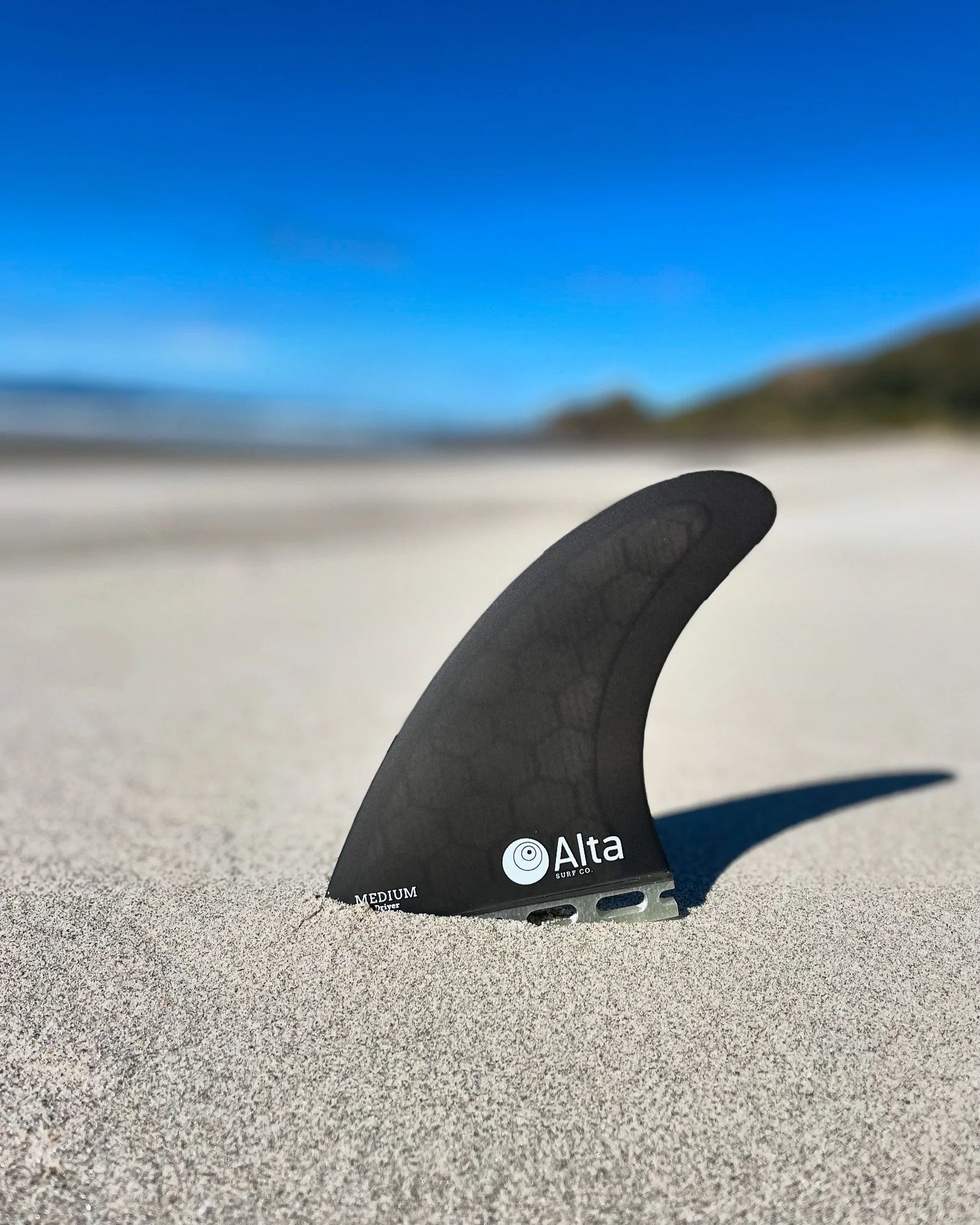 alta2.JPG