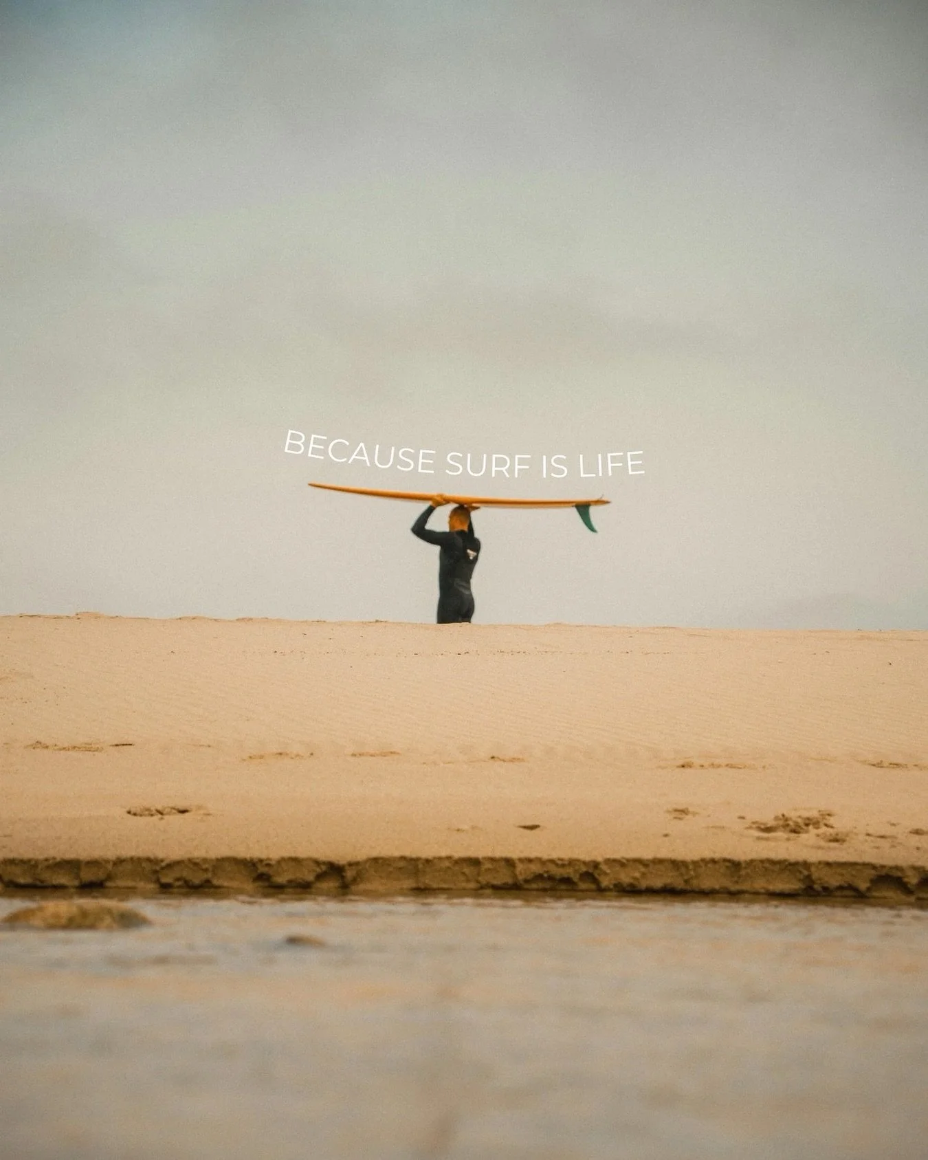 Because surf is life — and our business flows from it 🌊
At Surfpreneurs, we believe in creating, connecting, and growing businesses inspired by the ocean. Surfing teaches us balance, resilience, and the art of flow — the same values that