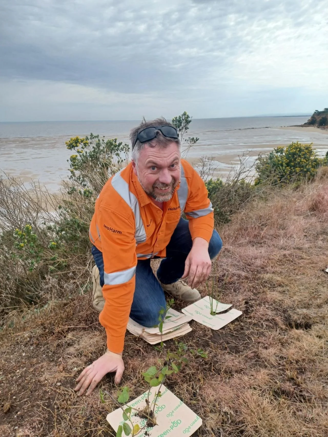landcare4.jpeg