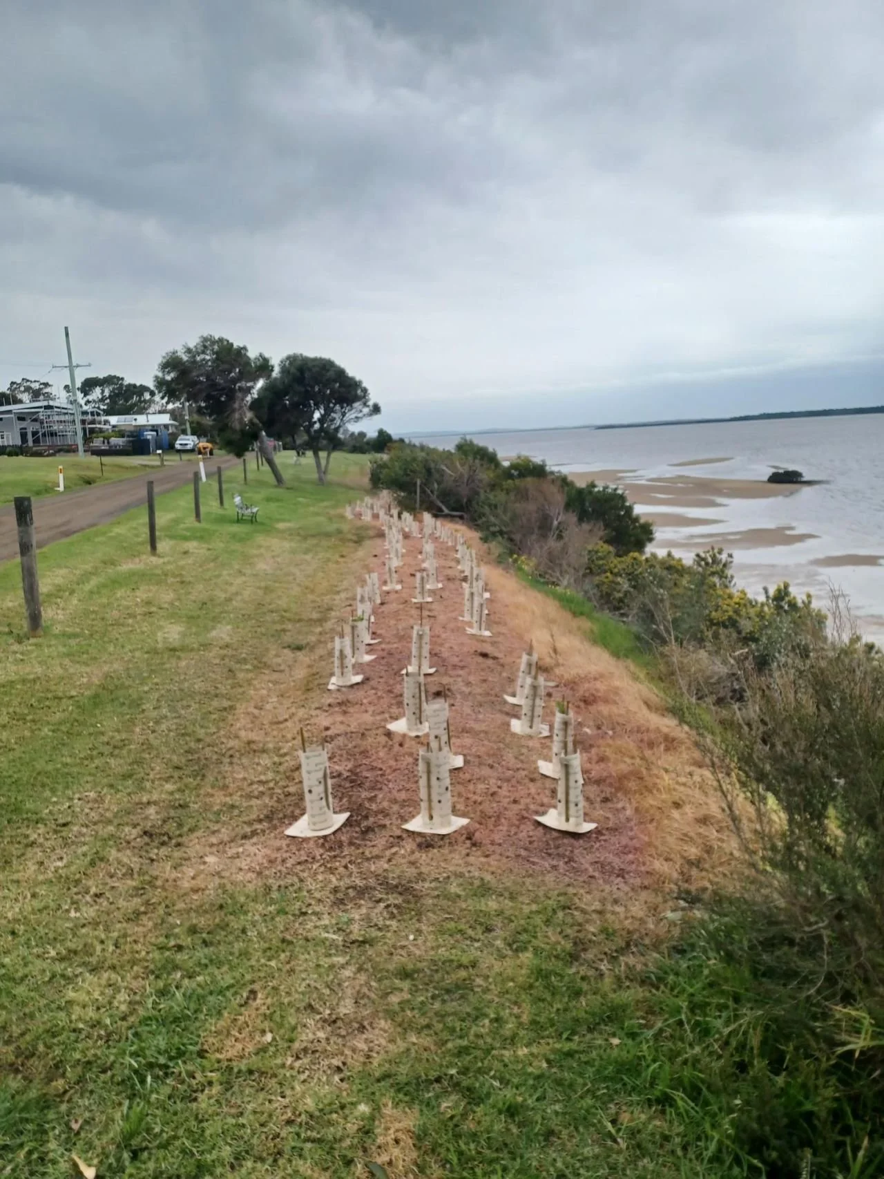 landcare3.jpeg