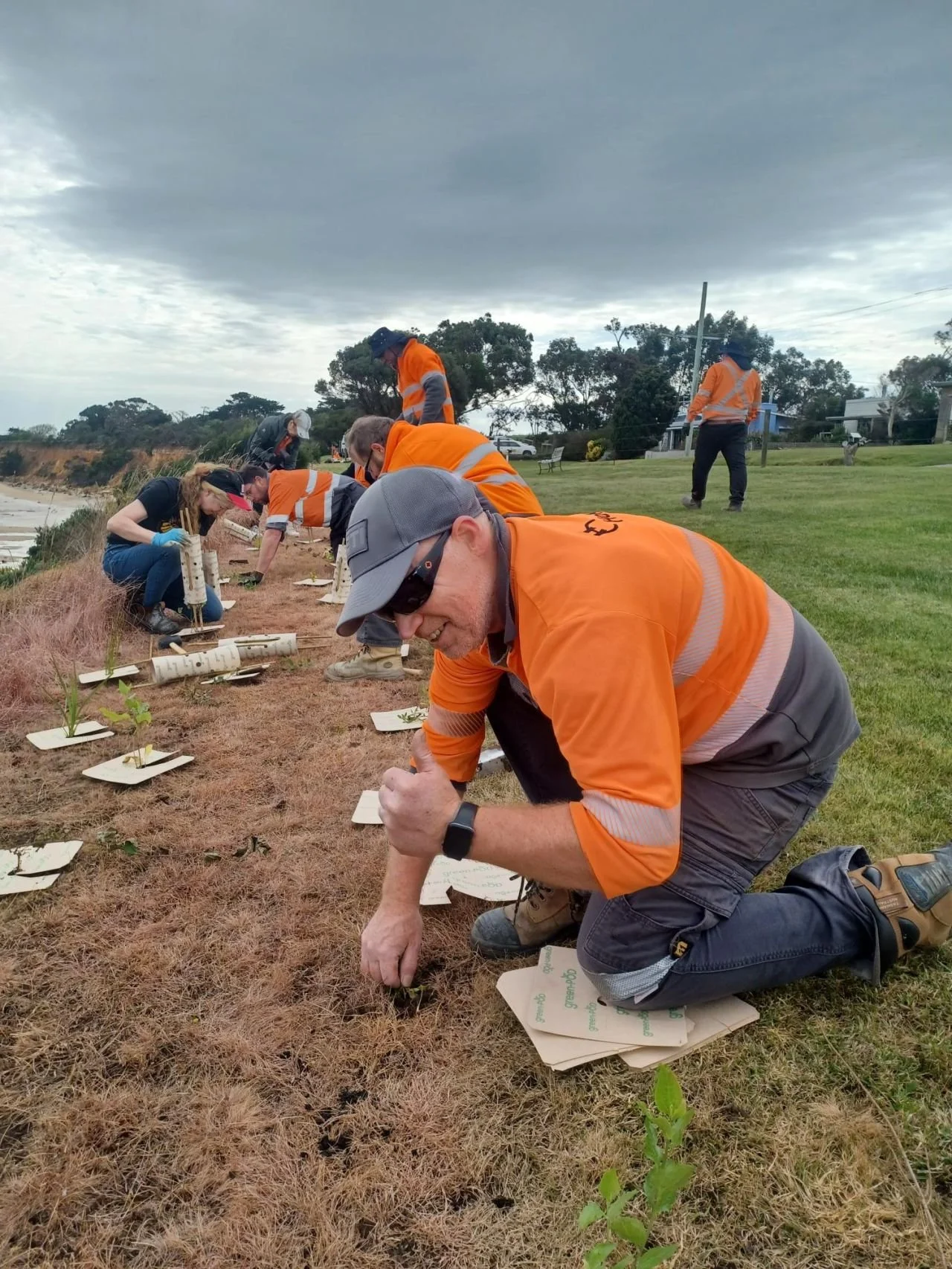 landcare2.jpeg