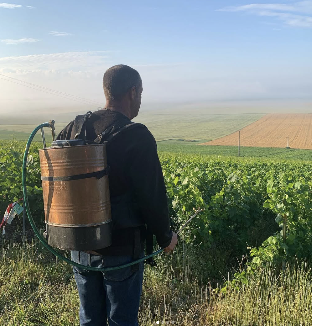 Screenshot 2025-07-10 at 10.16.19 AM.png