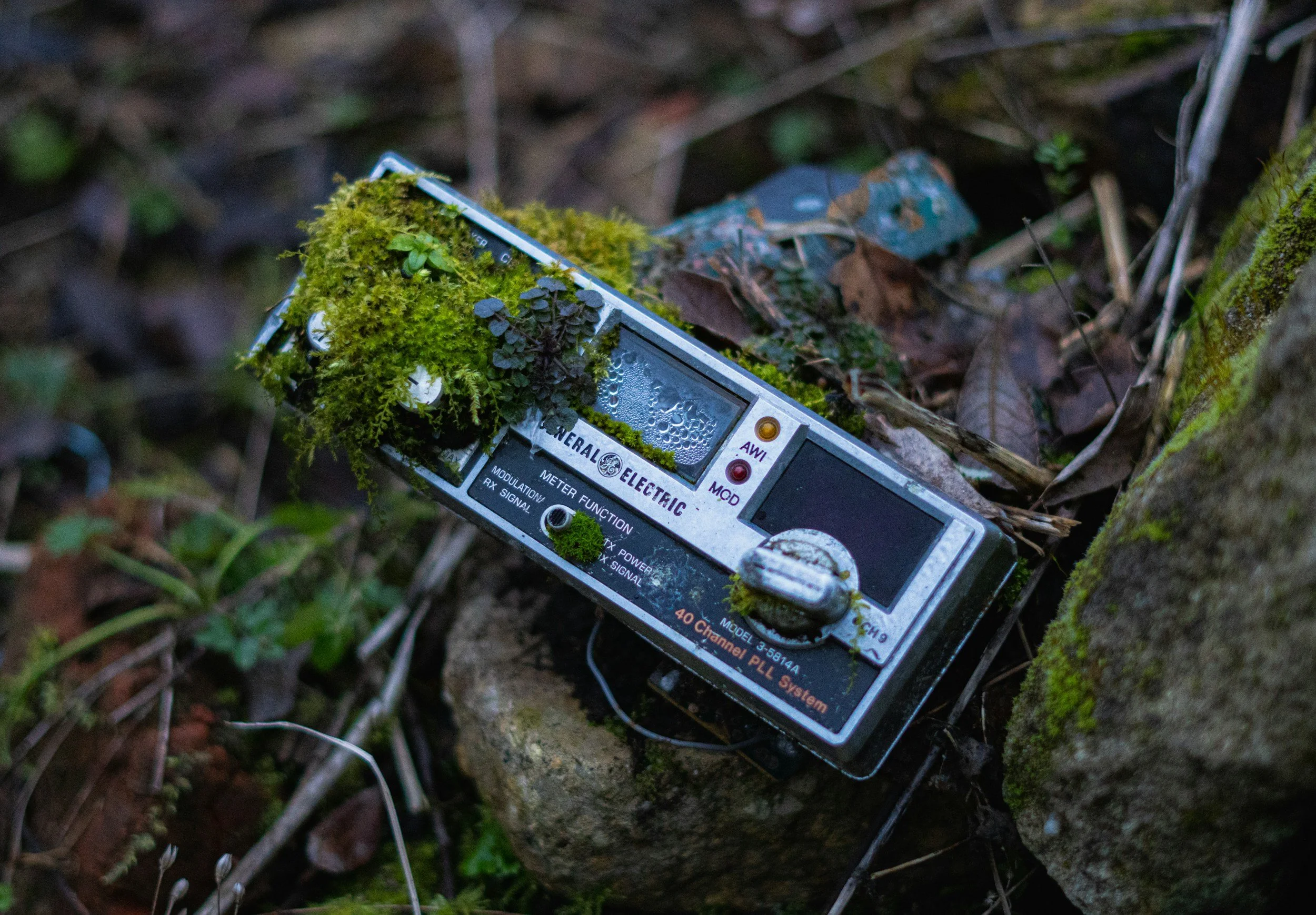 Growing up analogue, adulting digitally.