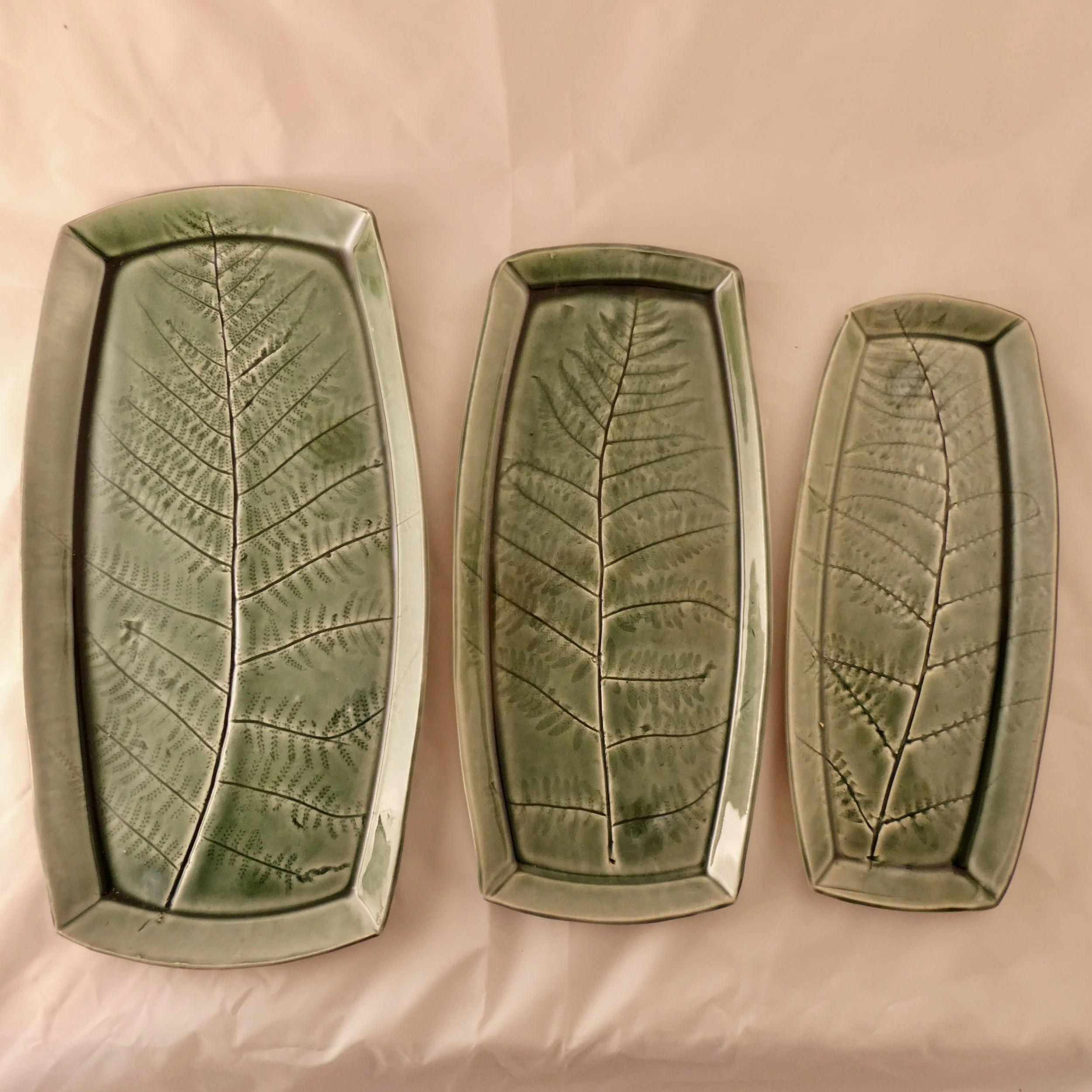 Watercolors fern trays.jpeg