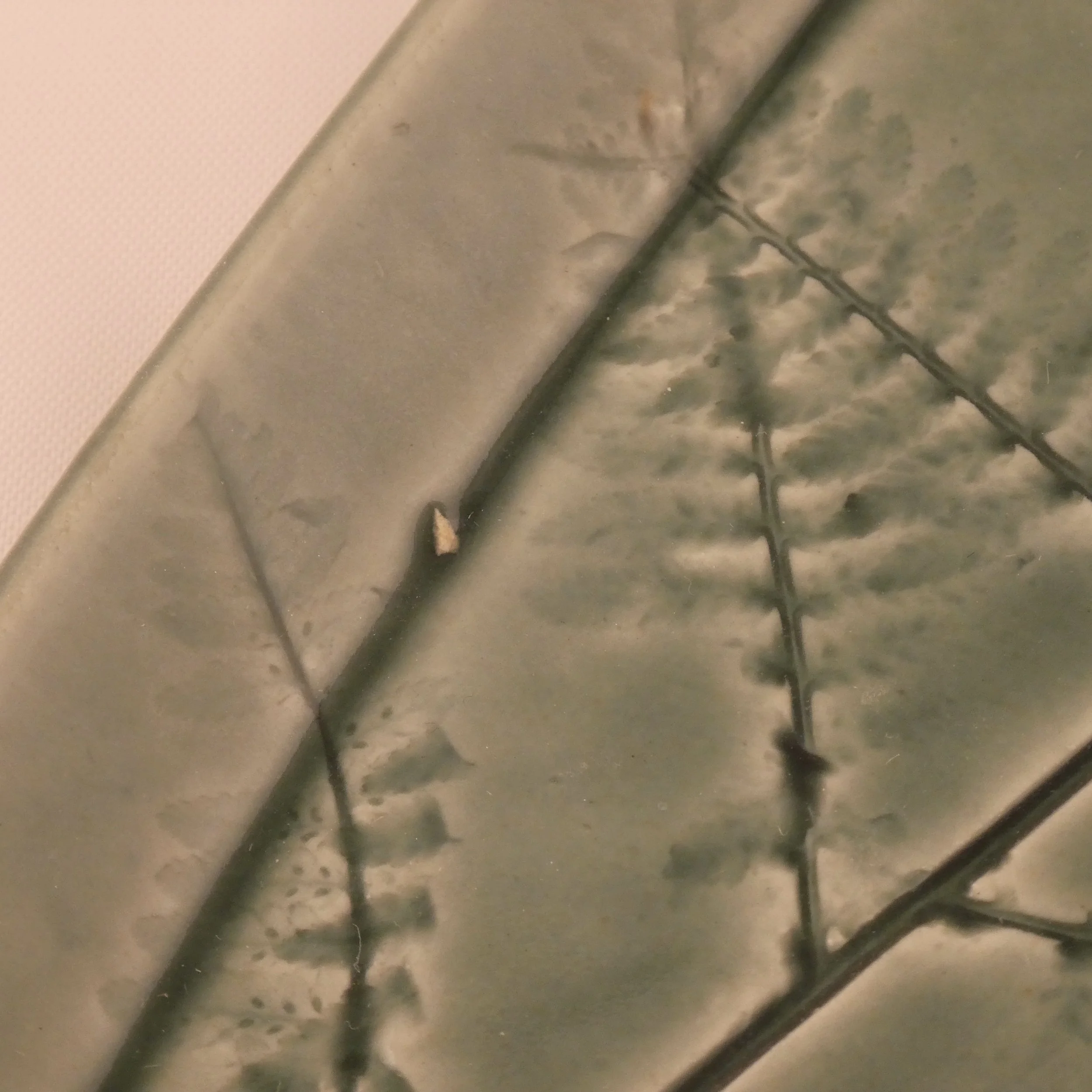 Watercolors fern tray small.jpeg