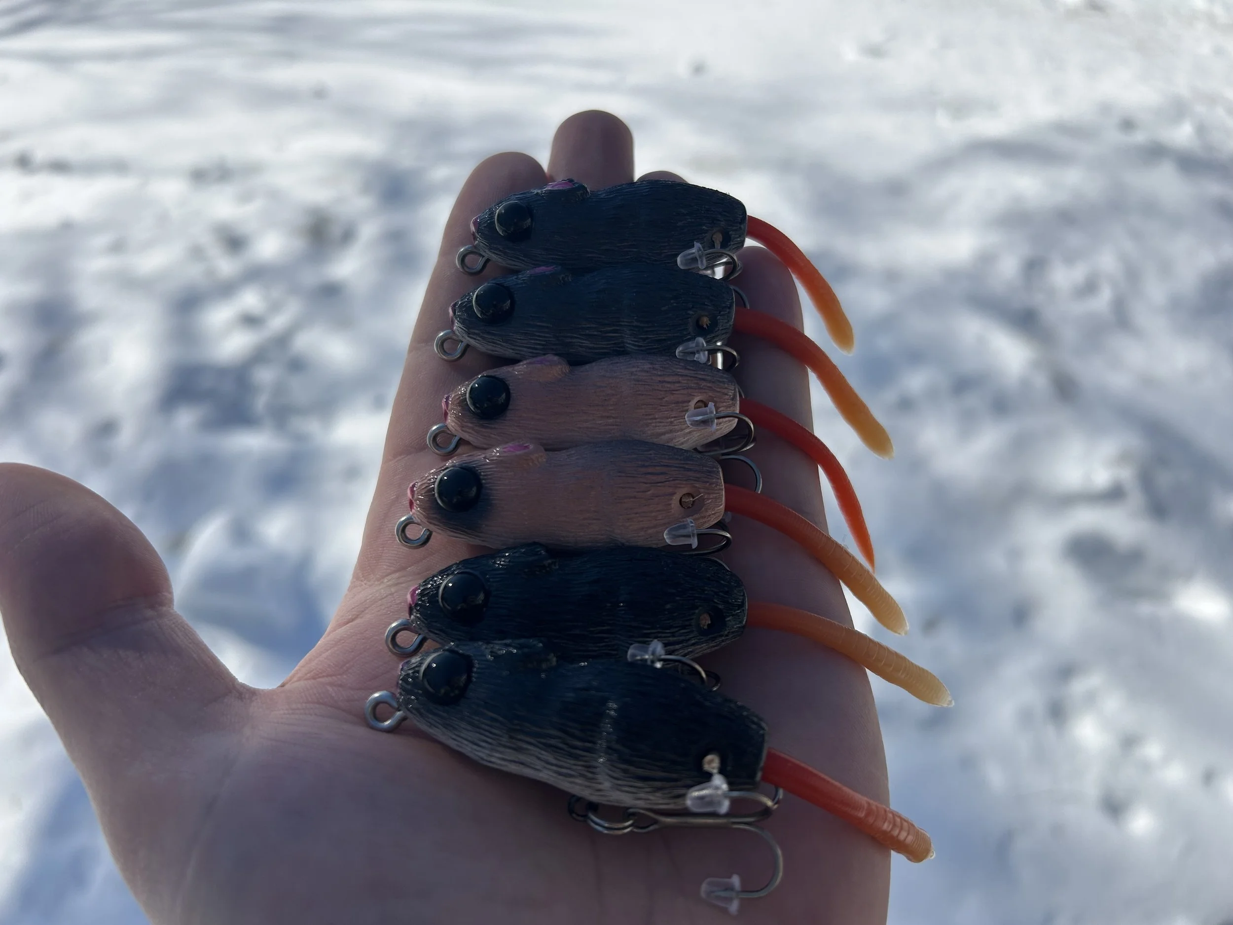 bfs mouse colors.jpeg