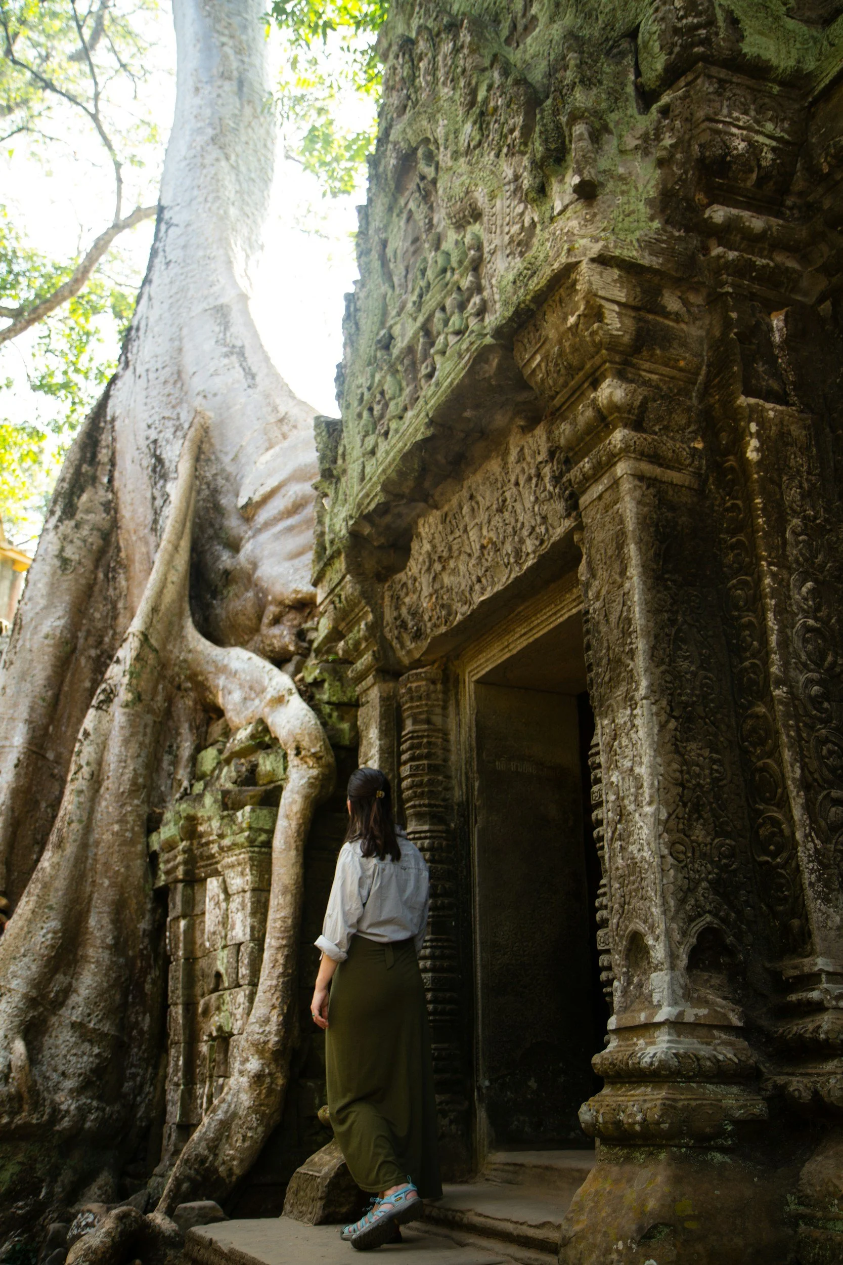 A woman in a gray blouse and green skirt stands in front of an ancient stone temple entrance, which is partially overgrown by a large tree with roots wrapping around the structure, in a lush green forest.