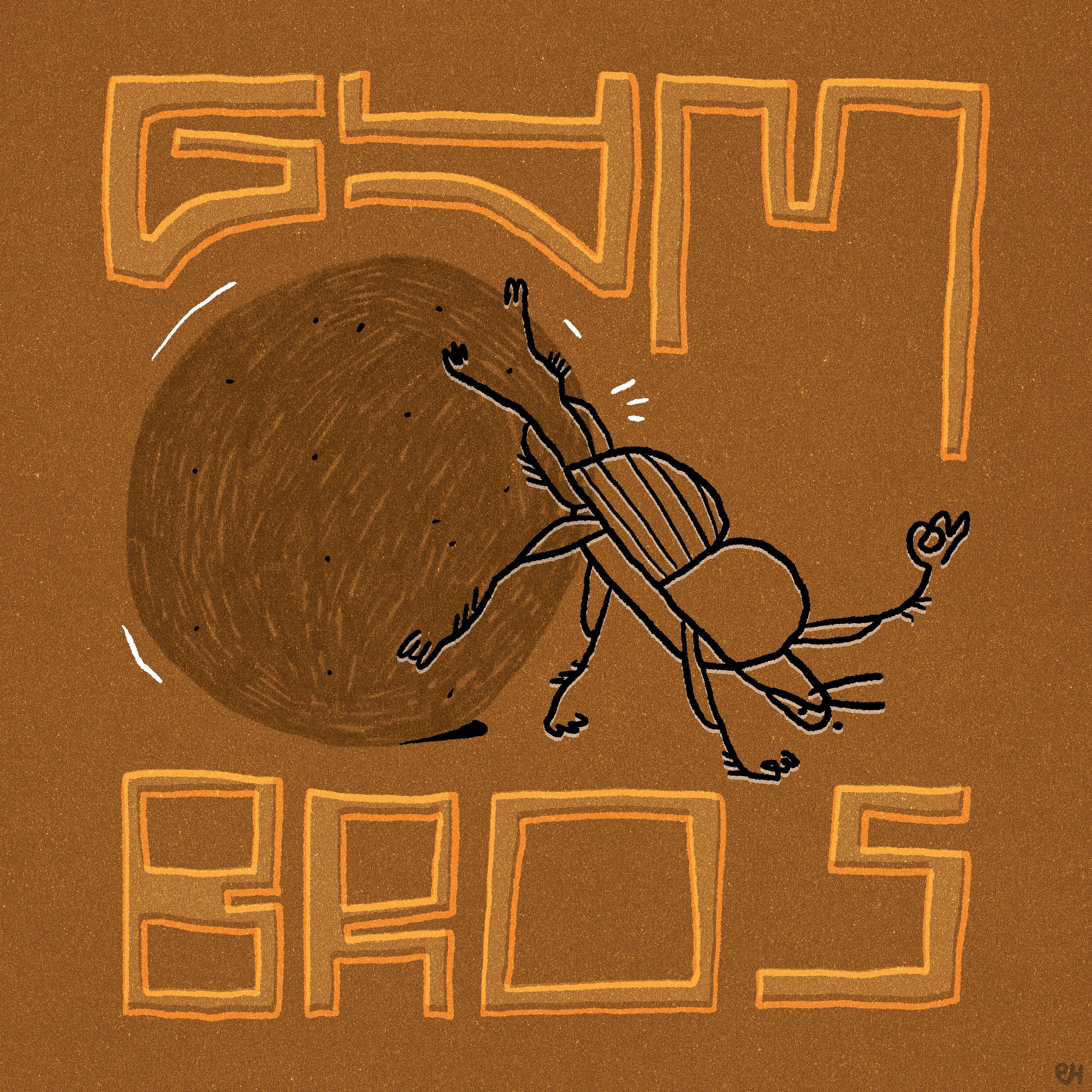Dung beetles are the world’s strongest insect