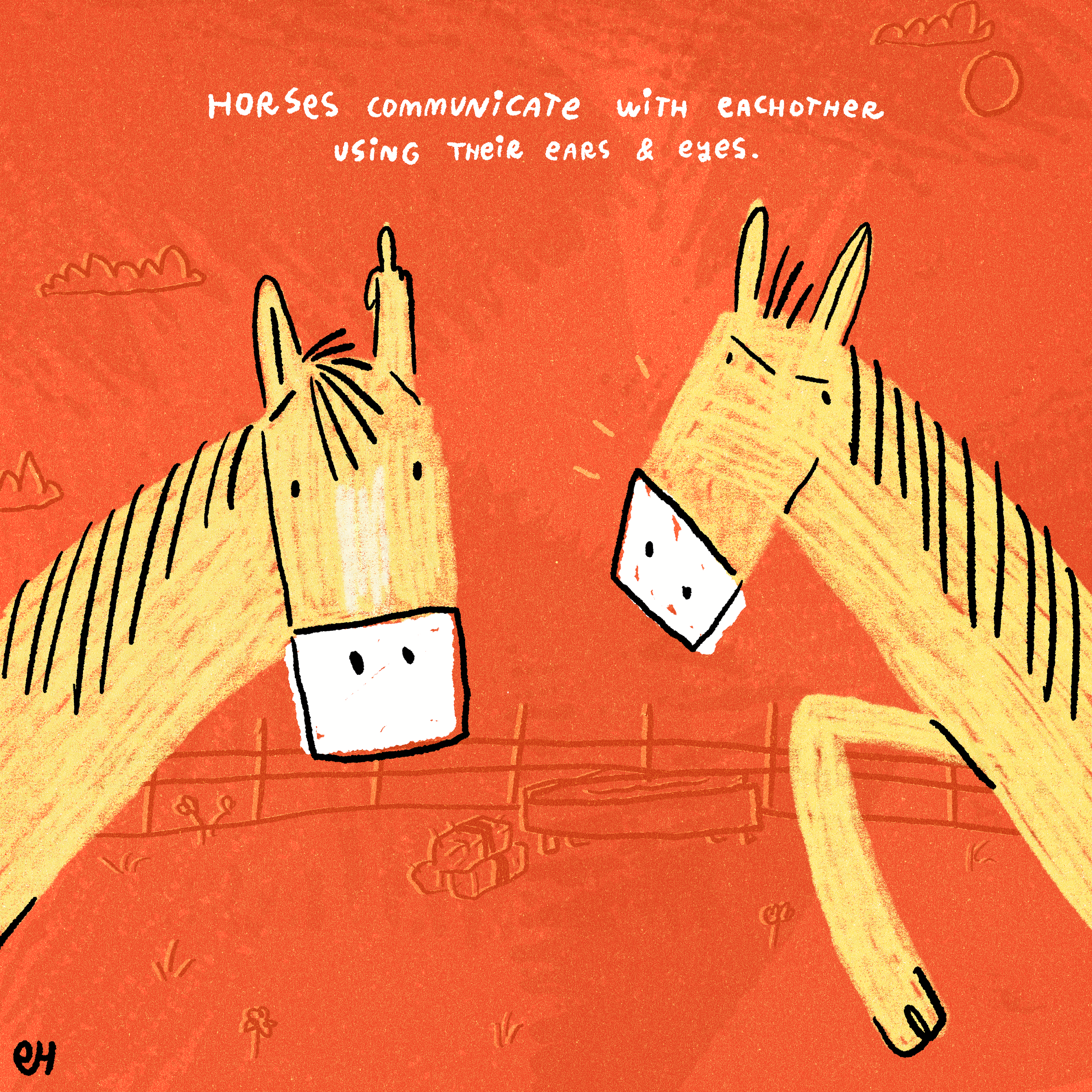 Horses communication with each other using their ears & eyes