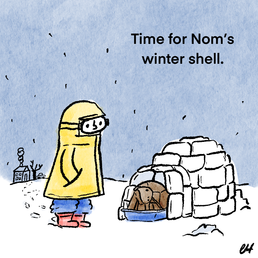 Winter Shell