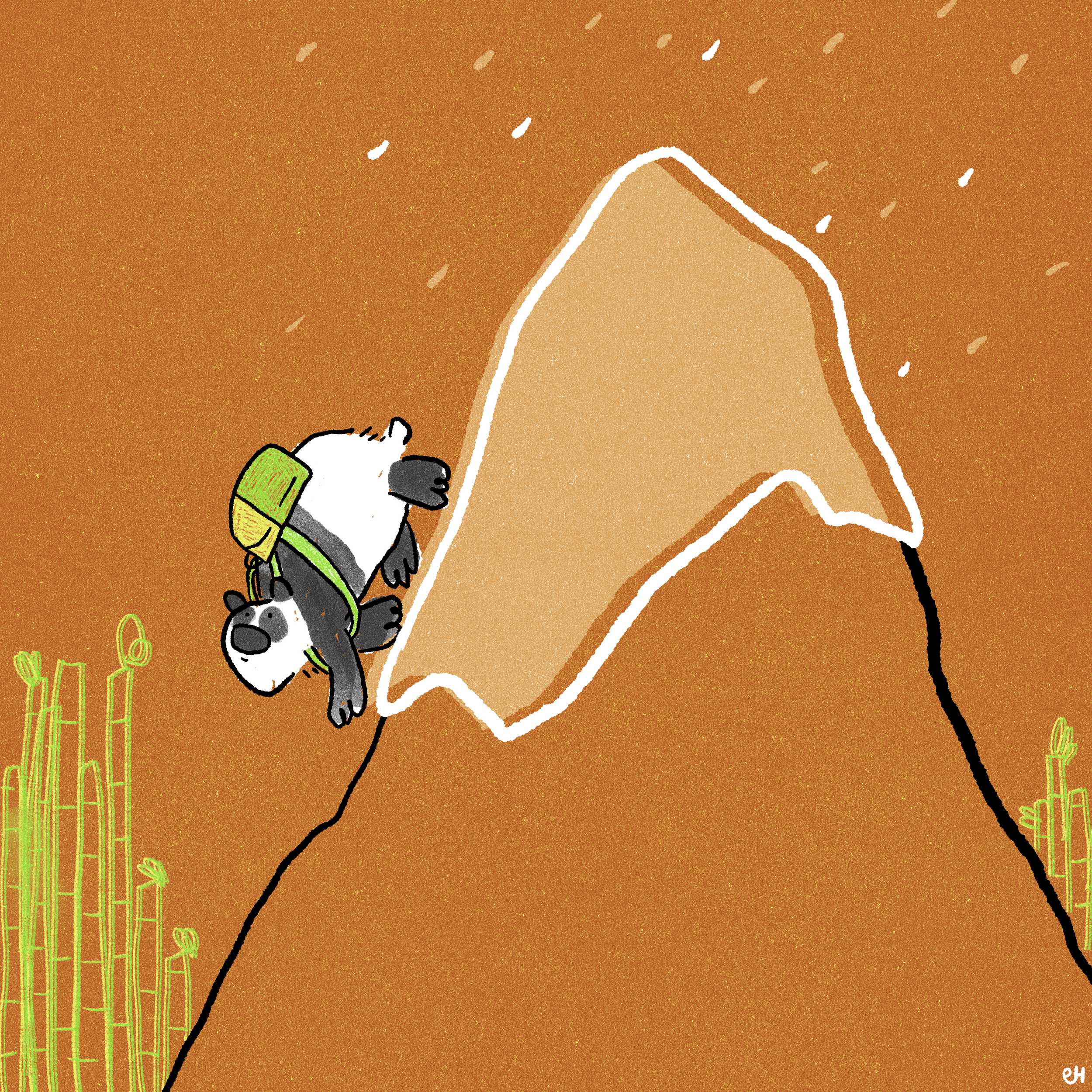 pandas are one of the only bears that don’t hibernate! instead, during winter seasons they trek down mountainsides to find warmer spots where they can keep chowing down on bamboo