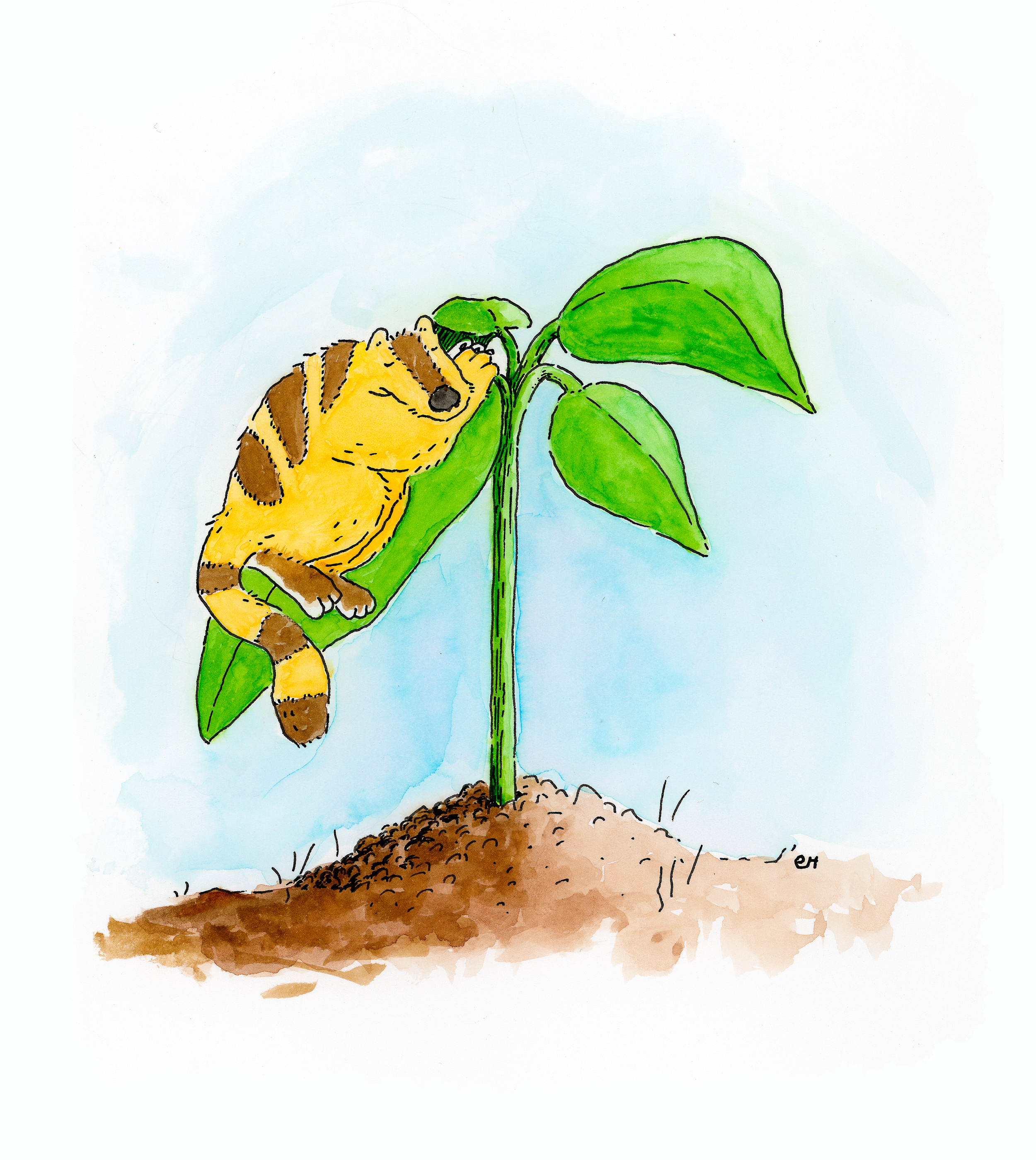 leafnap.png