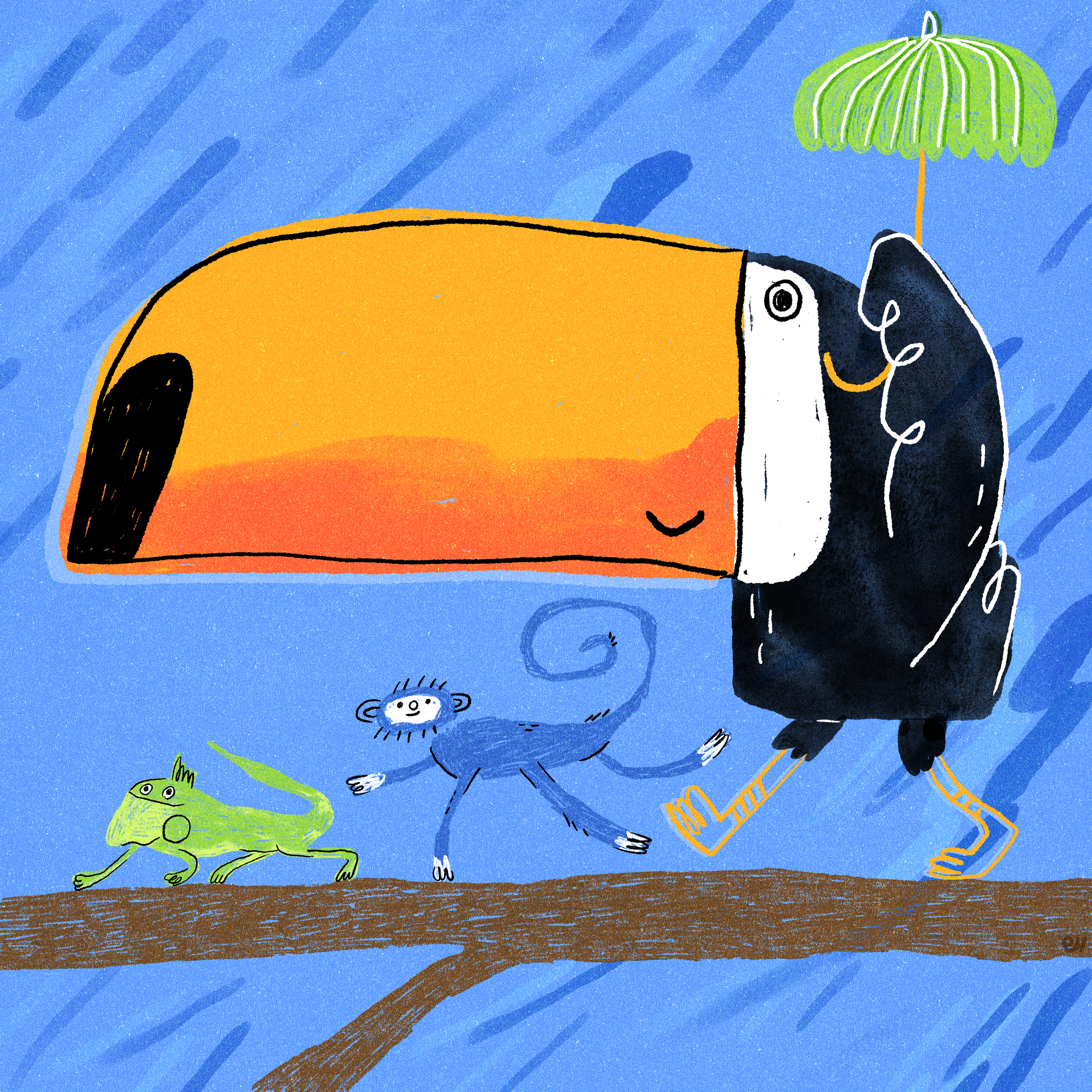 A toucan’s beak is over 1/3 its total length