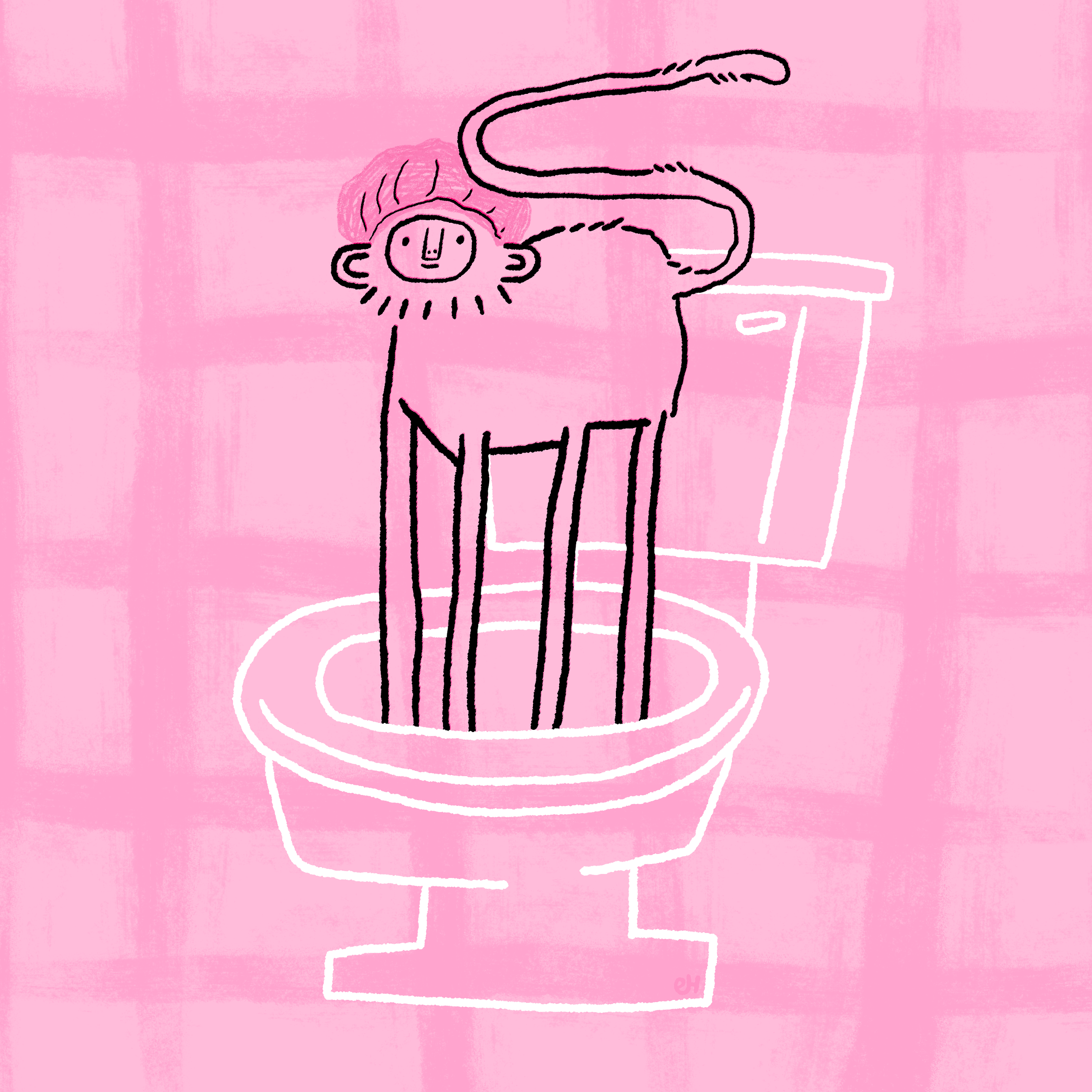 capuchin monkeys wash their hands & feet with their own pee