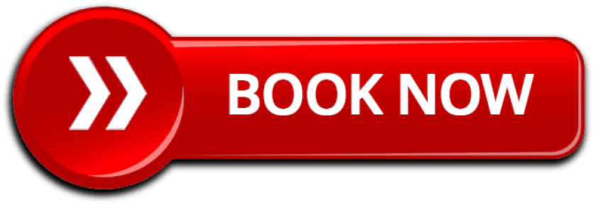 Red Ridge Roofing Nexline Marketing Digital Art Creations Search Engine Optimization