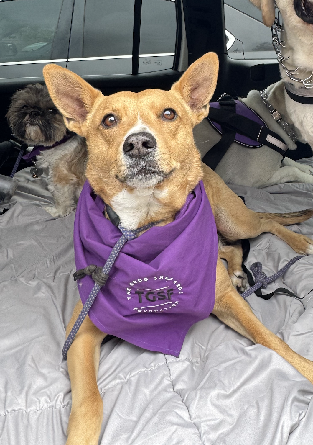 Screenshot 2025-06-19 at 5.10.26 PM.png