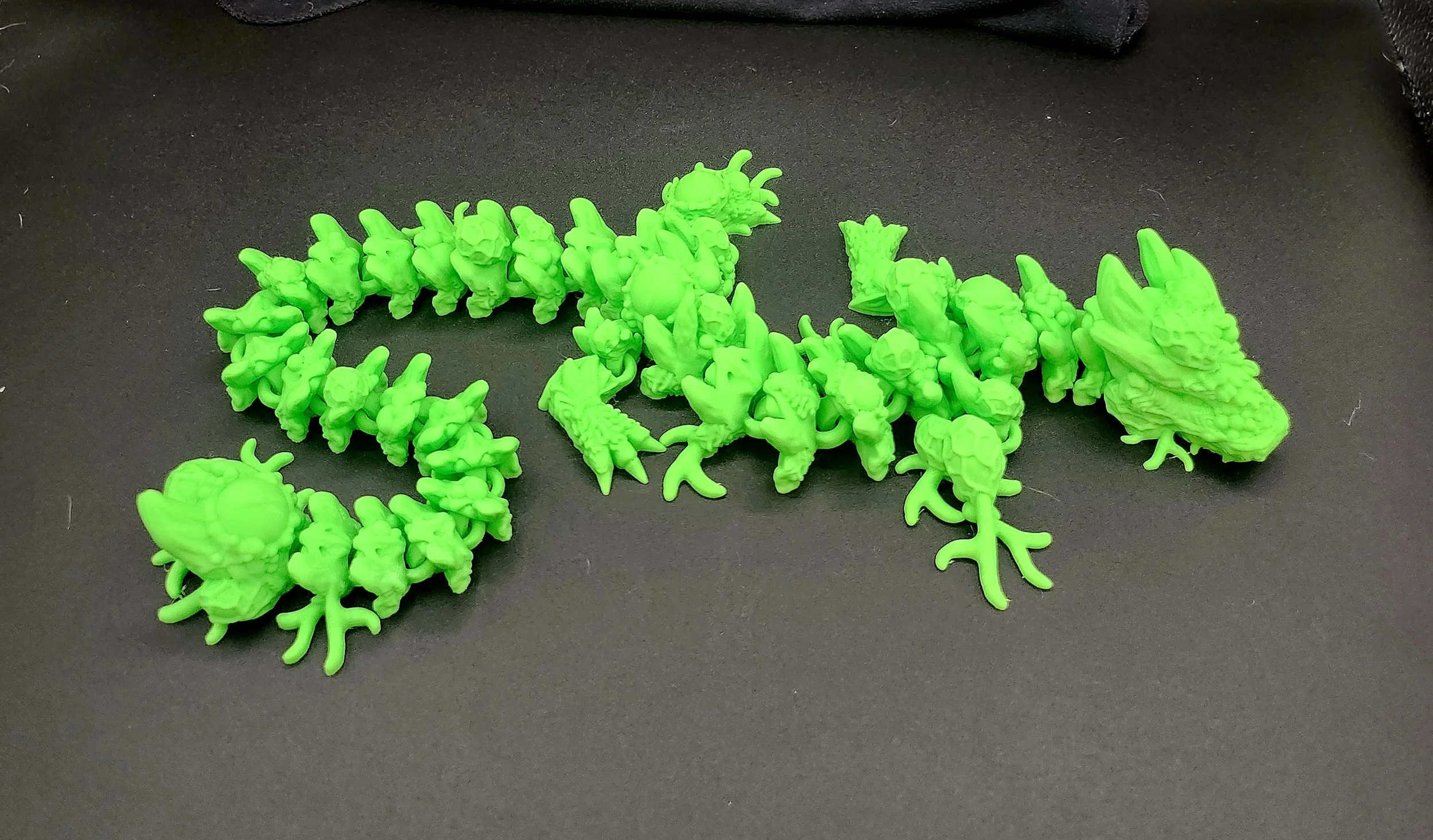 Infested Dragon (3).jpg