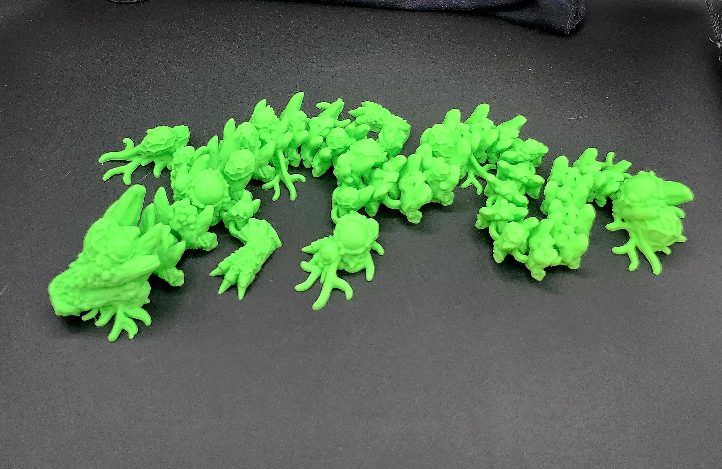 Infested Dragon (4).jpg