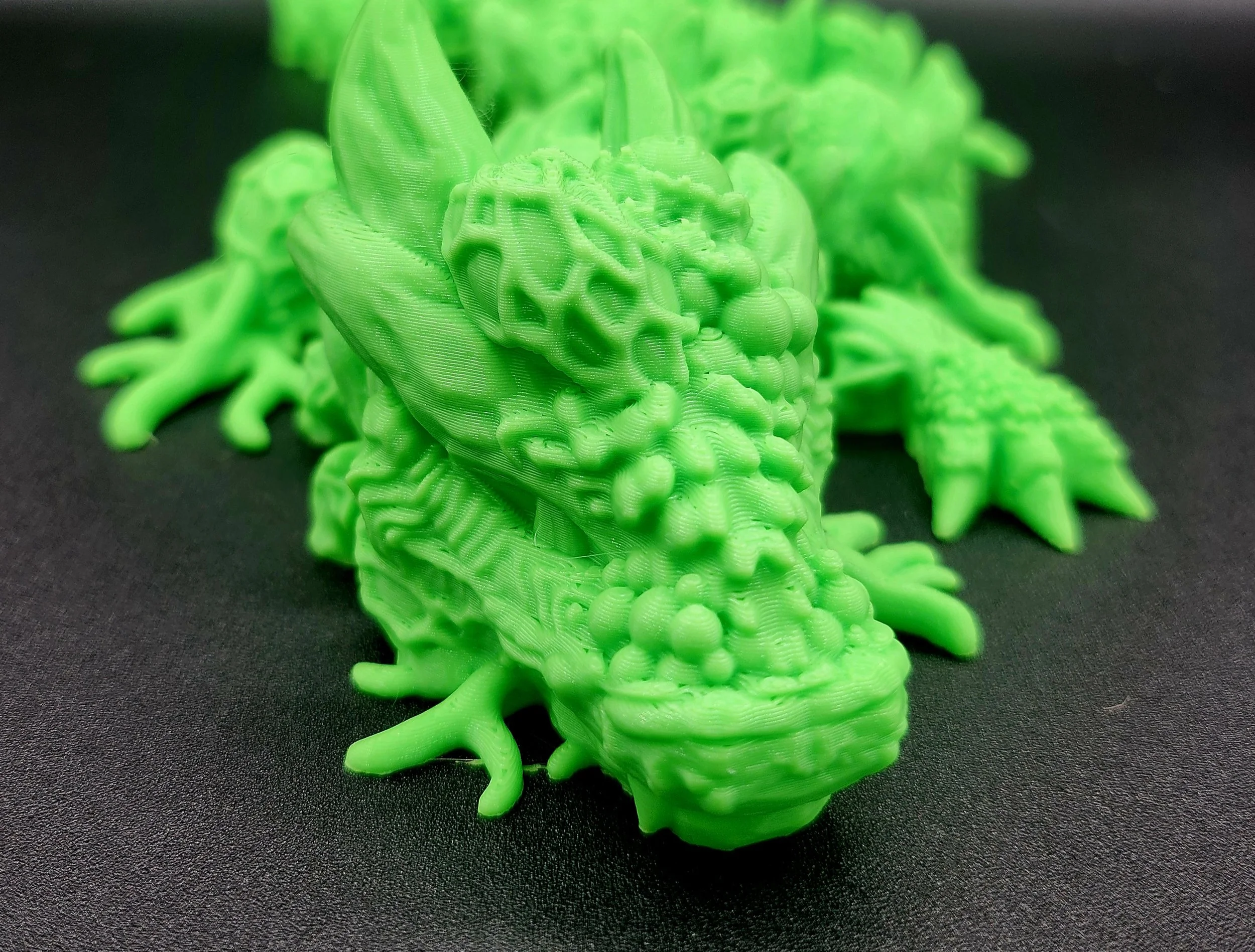 Infested Dragon.jpg