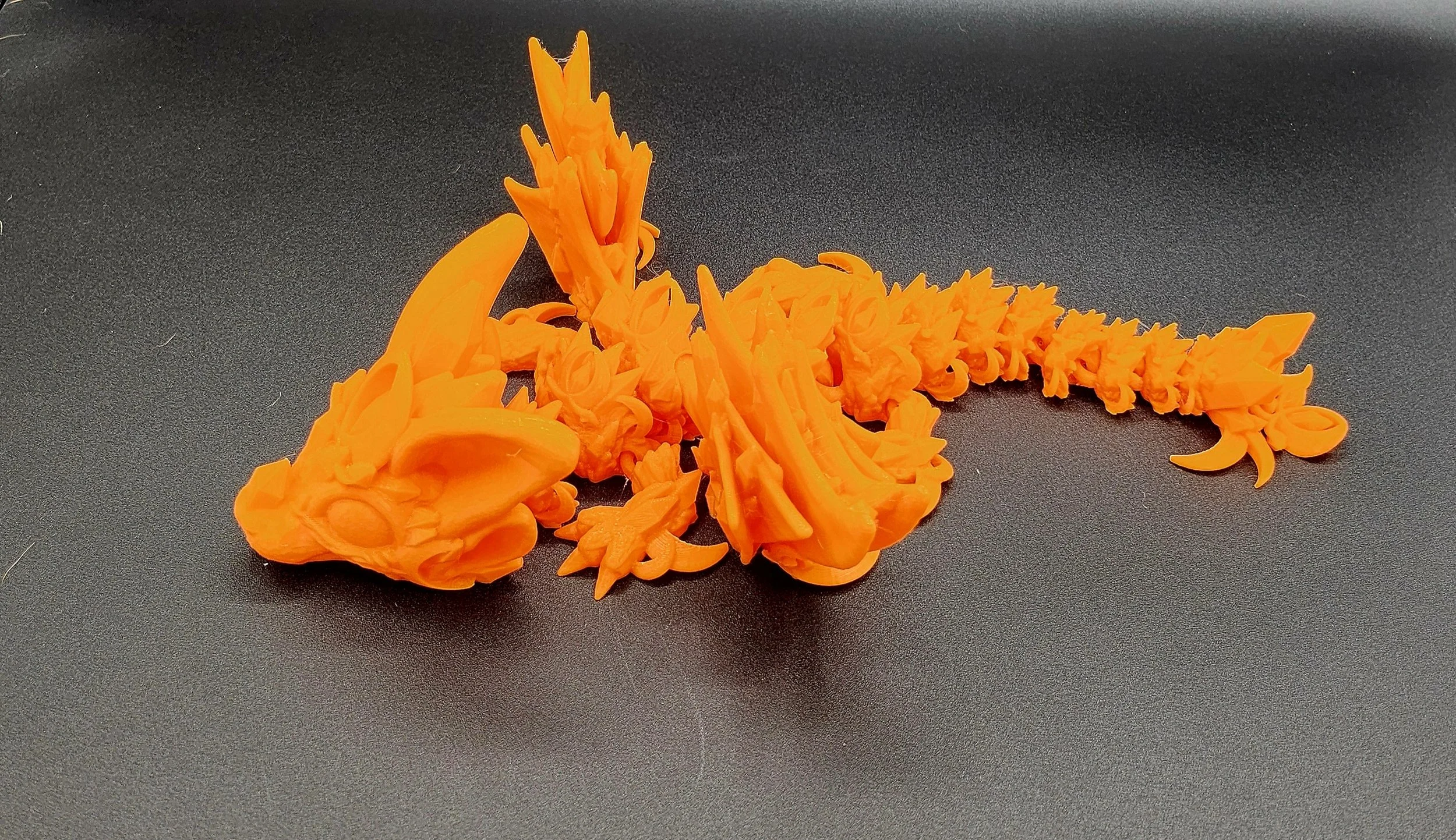 Bat Dragon Org. (5).jpg