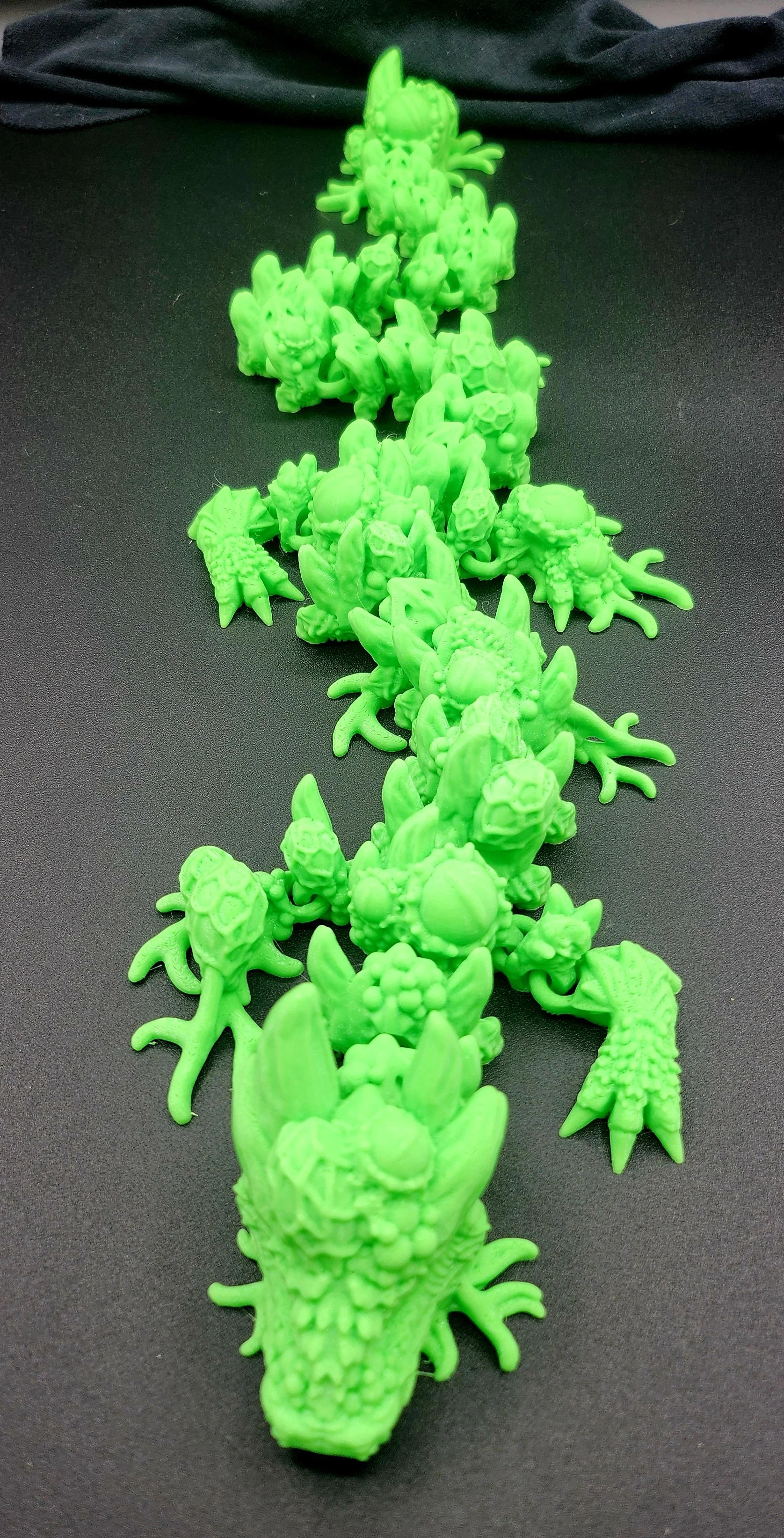 Infested Dragon (2).jpg