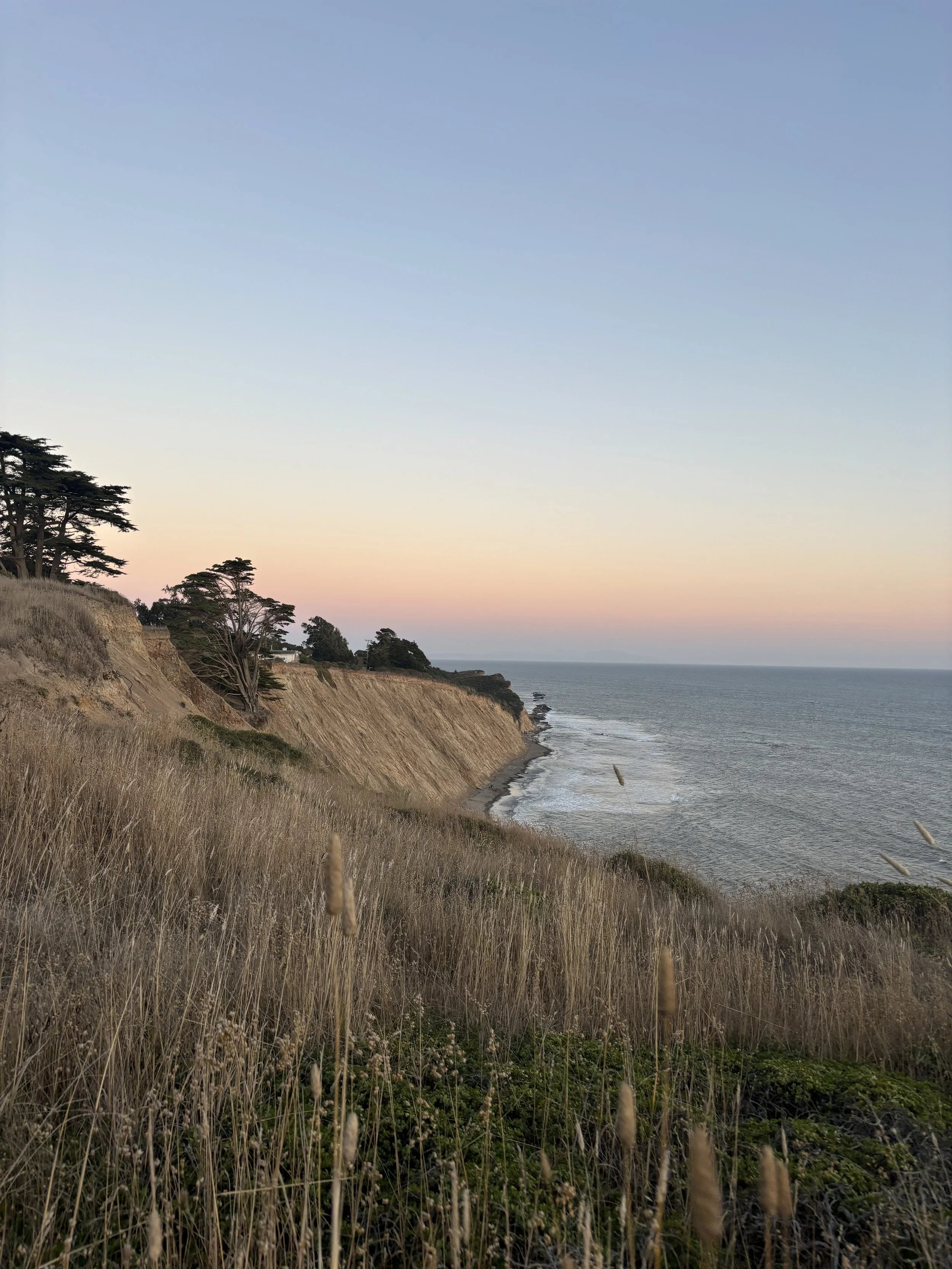 Cliffside view of the ocean at sunset with tall grass in the foreground and trees along the hillside.