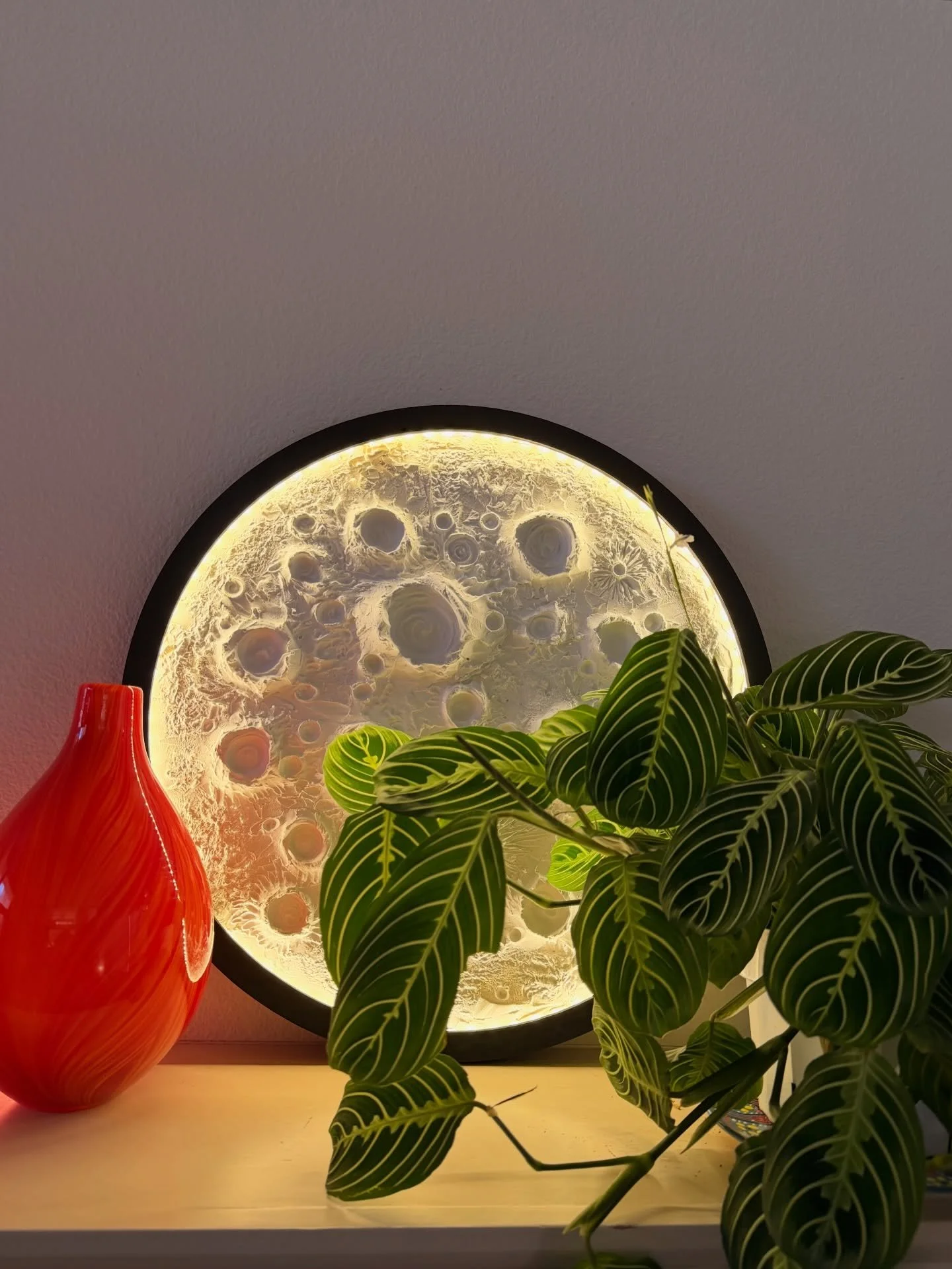 How good can a moon look at home? ✨
This is one way to style it, with a touch of color and a bit of greenery. 🌿🌕

A simple idea, but it works beautifully.
#homedesign #livingroom #diy #home #design