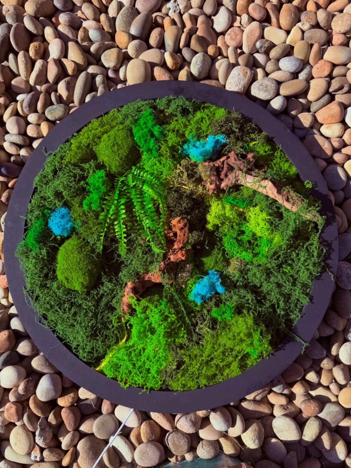 Tiny moss universe loading&hellip; 🌿💫